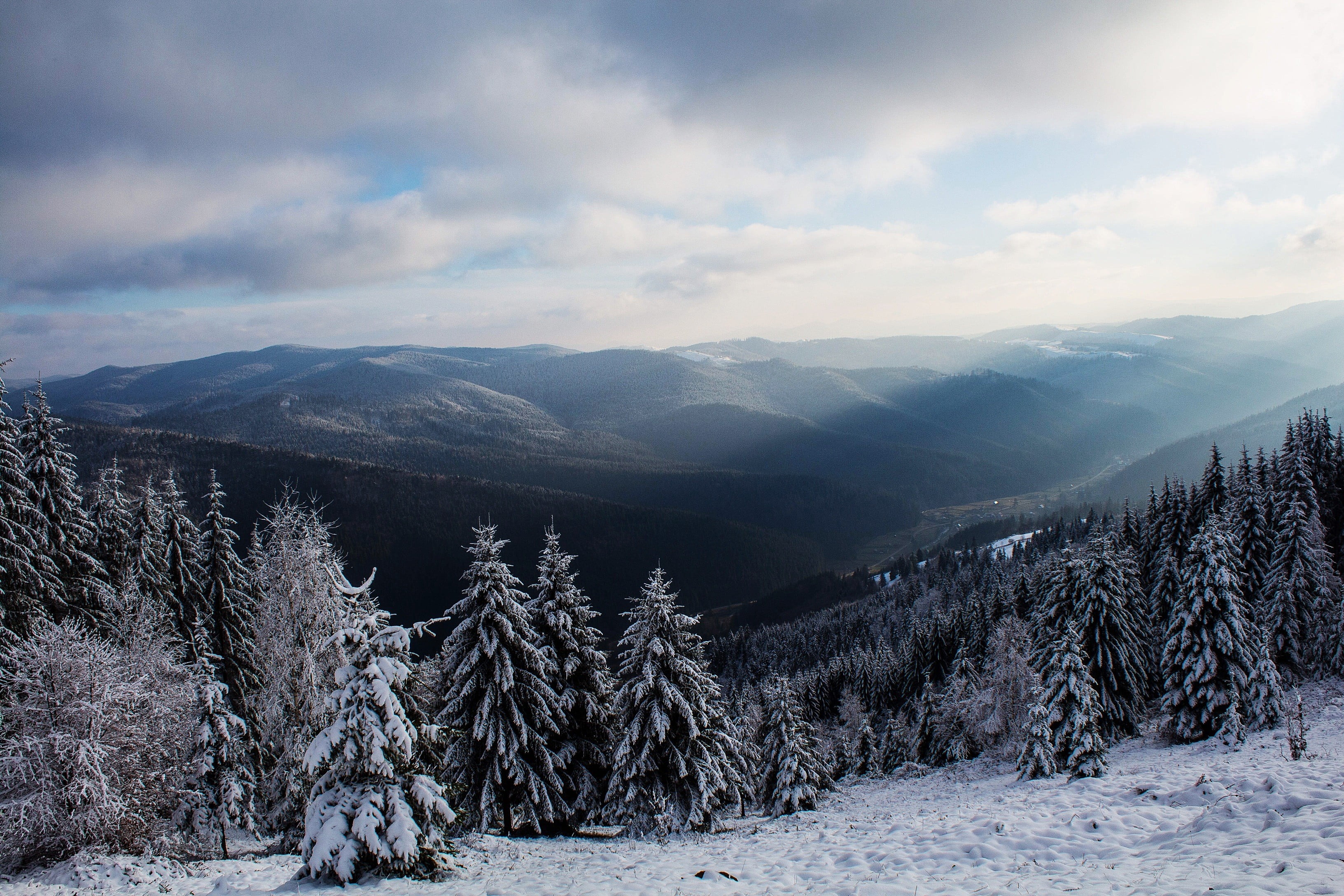 cloud - sky, sun rays, day, trees, clouds, pine, winter, pine trees, mountain, snow, 2K, nature, scenics - nature, snowcapped mountain, hills, tranquility, HD Wallpaper