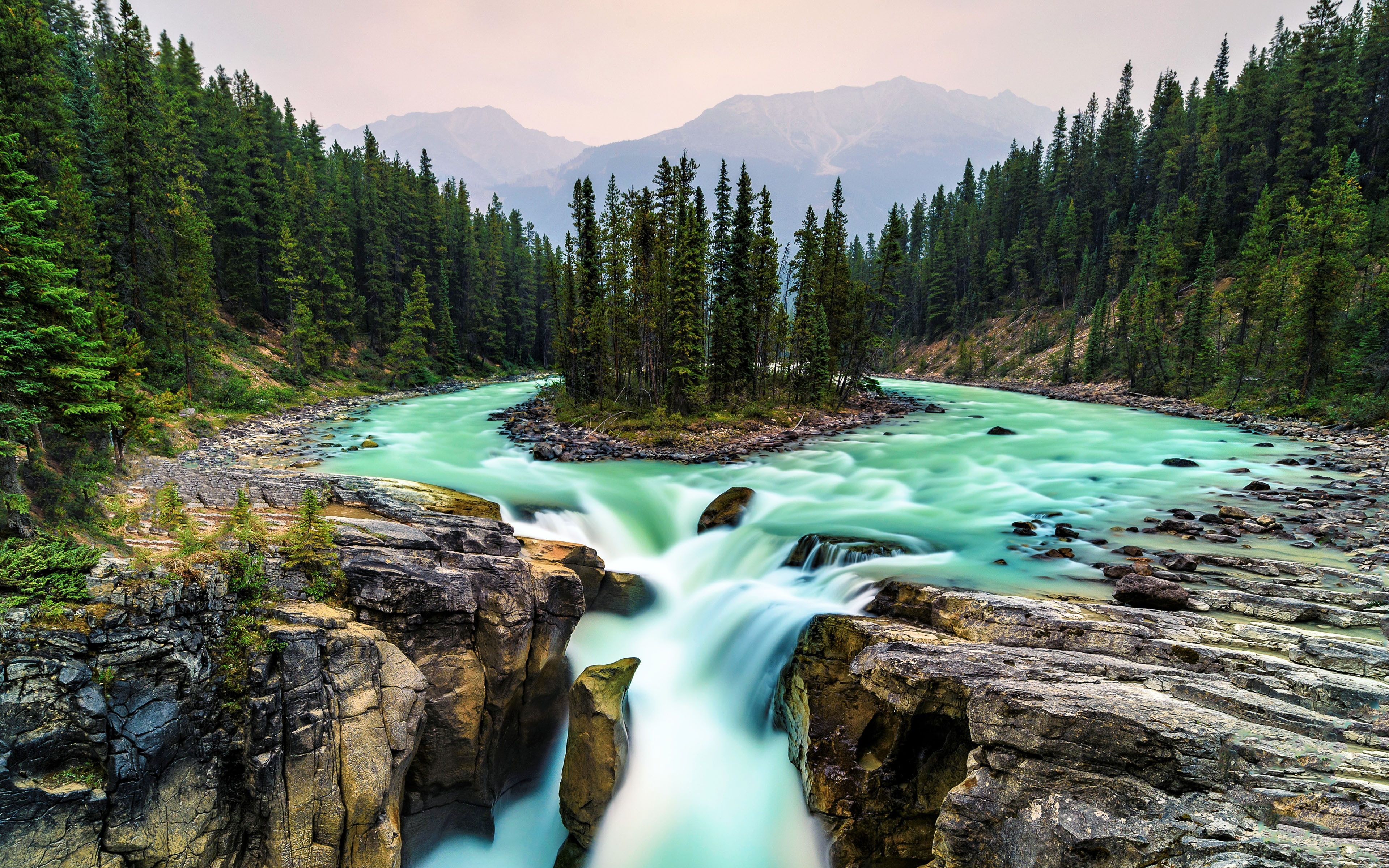 river, jungle, jasper, 4K, plant, flowing, mountain range, nature, idyllic, mountain, flowing water, stream - flowing water, water, park, national, long exposure, HD Wallpaper