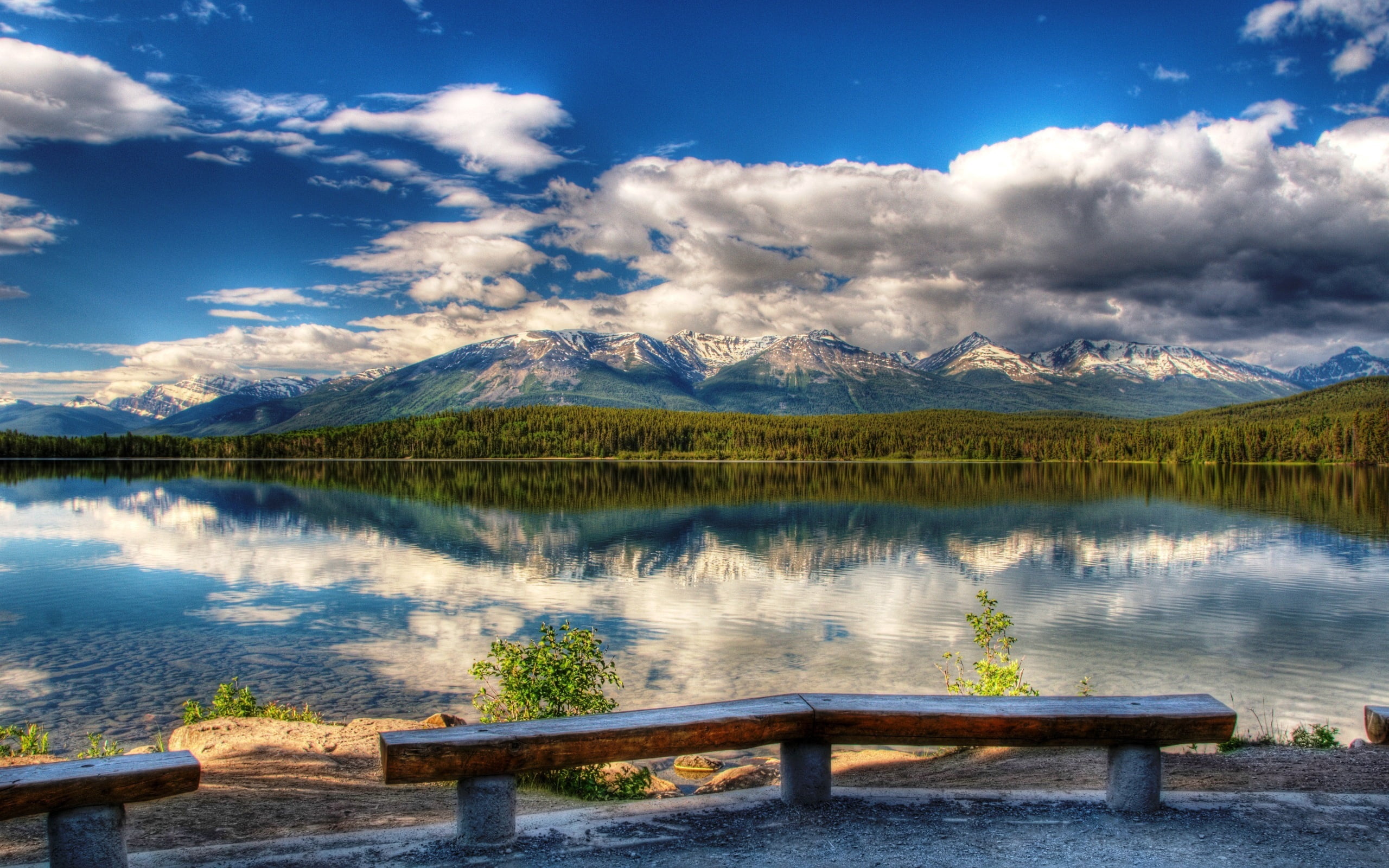 forest, benches, outdoors, travel, tree, grass, day, coast, 2K, tranquil Scene, vacations, scenics - nature, nature, idyllic, cloudscape, mountains, mountain Peak, HD Wallpaper