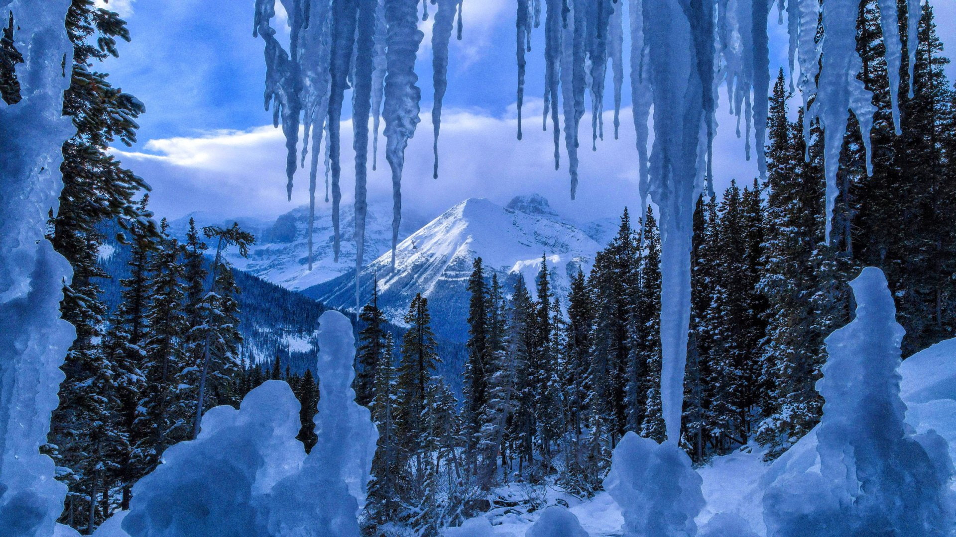 frozen, Tree, snow, landscape, mountain peak, cold temperature, Forest, no people, woodland, non-urban scene, cloud - sky, environment, land, scenics - nature, HD Wallpaper