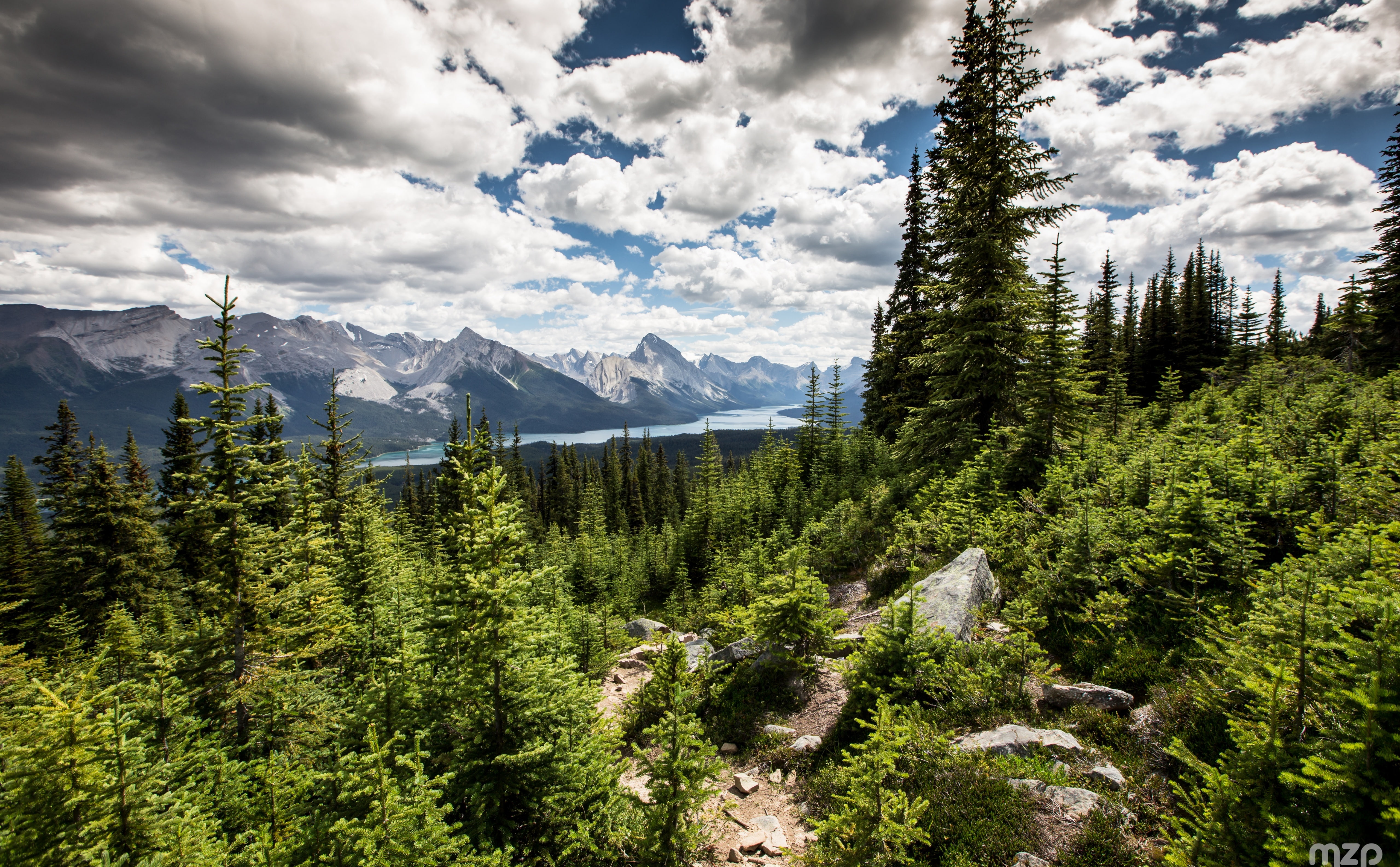 idyllic, growth, Travel, Trees, Alberta, tranquil scene, green, environment, visit, Trip, Nature, non-urban scene, plant, Trail, View, park, scenics - nature, HD Wallpaper