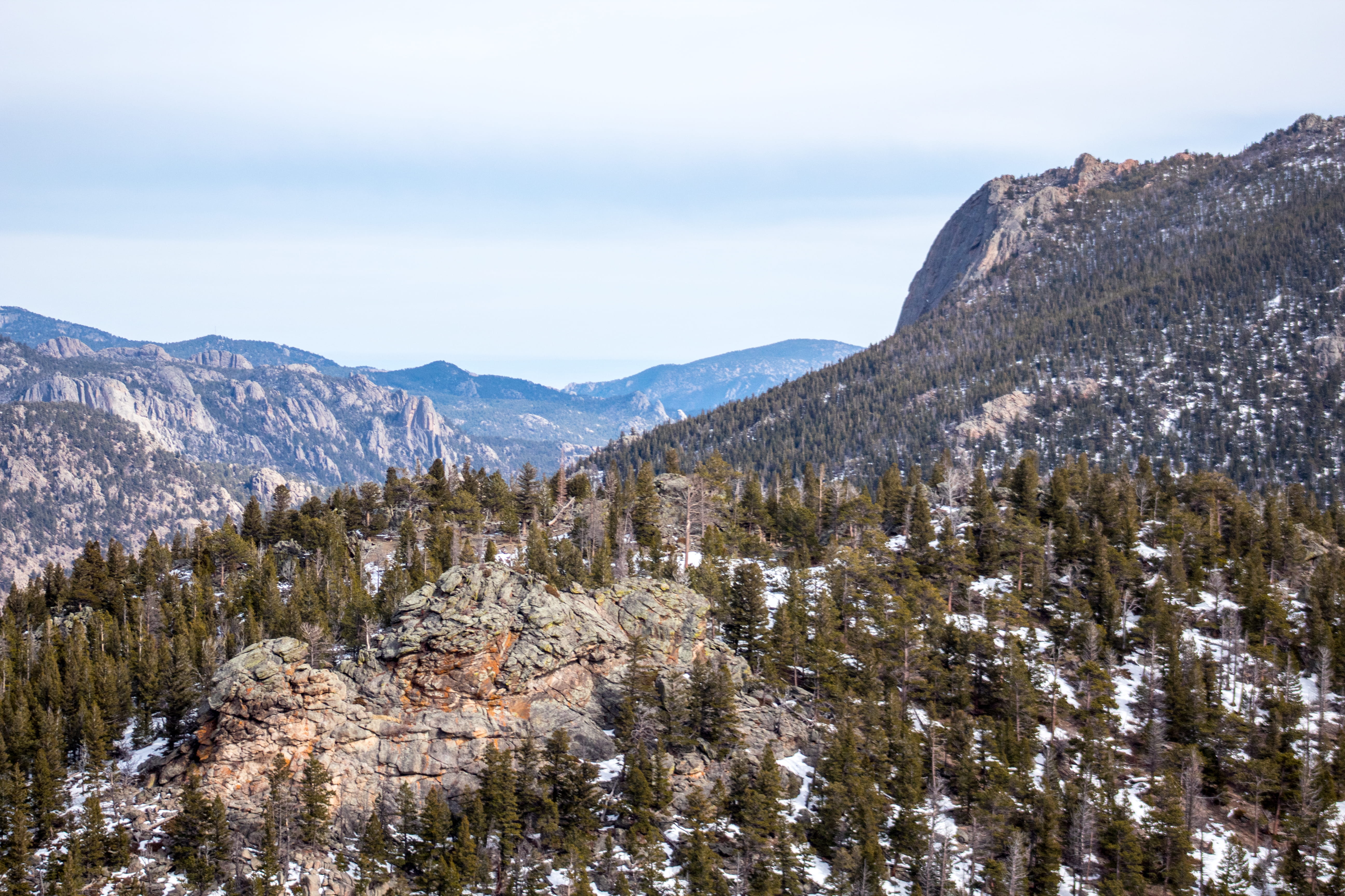 pine tree, idyllic, trees, no people, tranquility, sky, tranquil scene, non-urban scene, remote, colorado, mountains, land, mountain, beauty in nature, HD Wallpaper