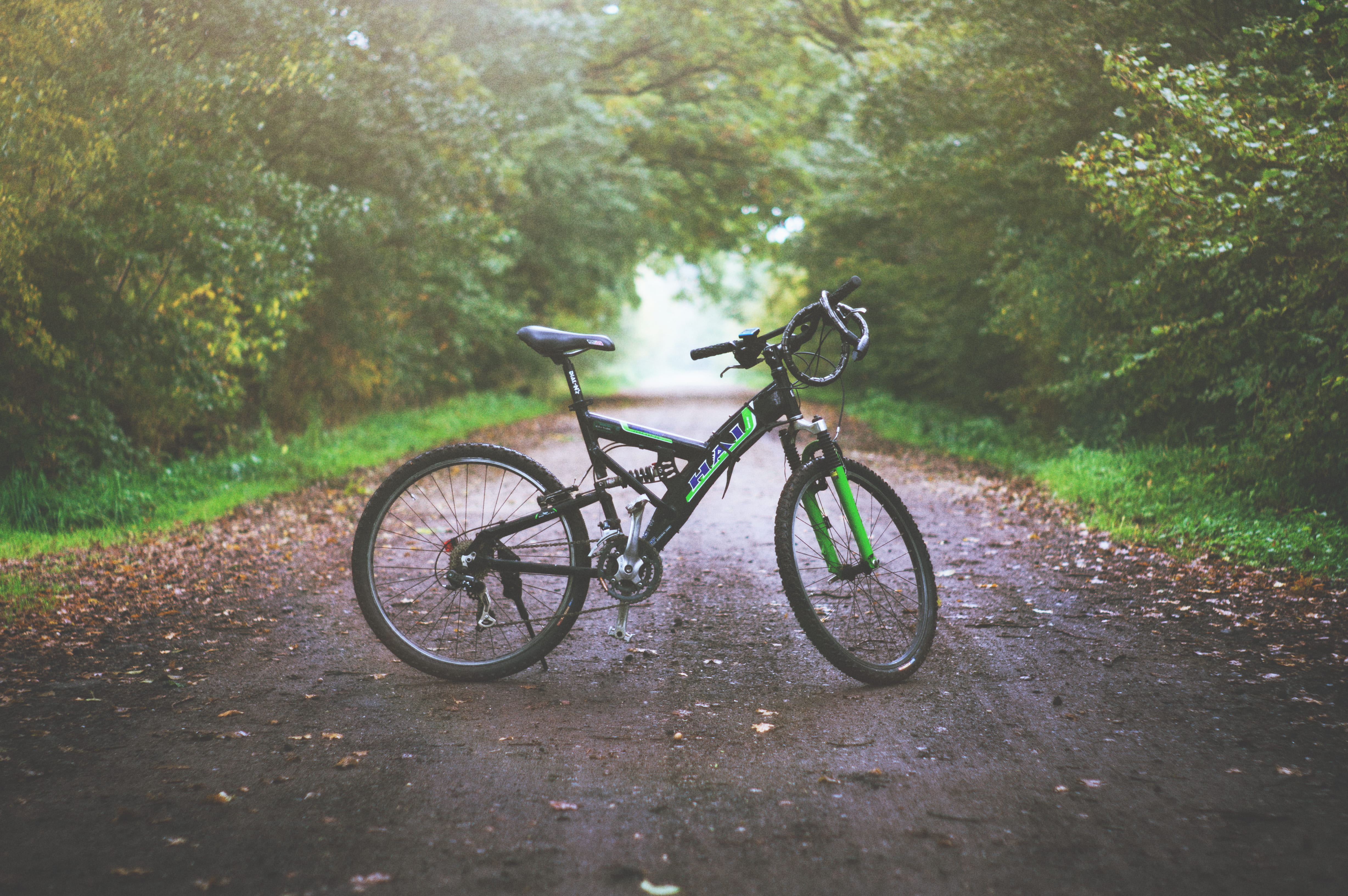 path, green color, 4K, transportation, cycling, black, green, land, suspension, road, mountain bike, full, no people, pathway, bike, stationary, footpath, HD Wallpaper
