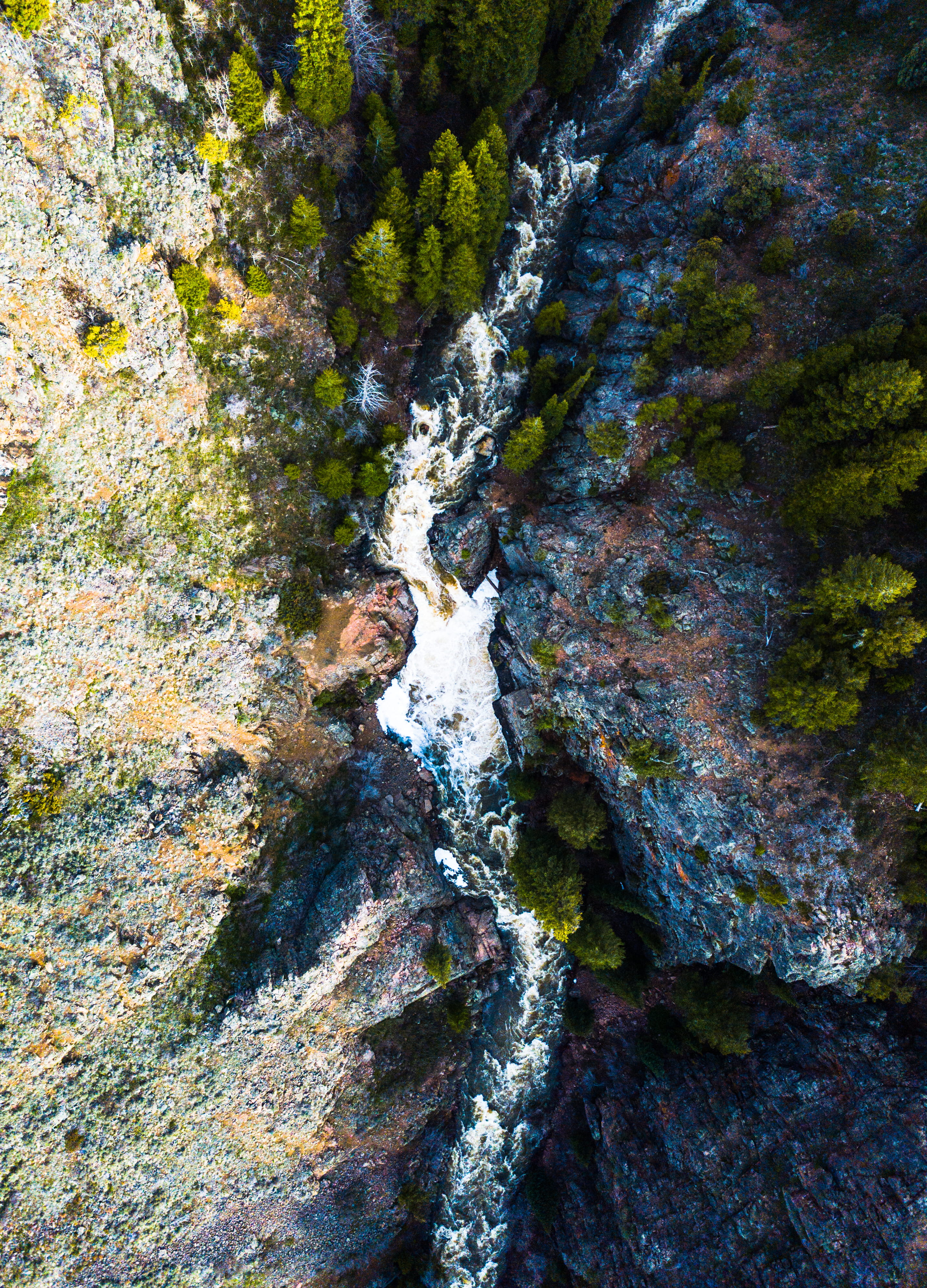 rock, nature, fores, high angle view, swimming, land, forest, drone, rock - object, moss, trees, close-up, outdoors, plant, textured, aerial, beauty in nature, Phone HD Wallpaper