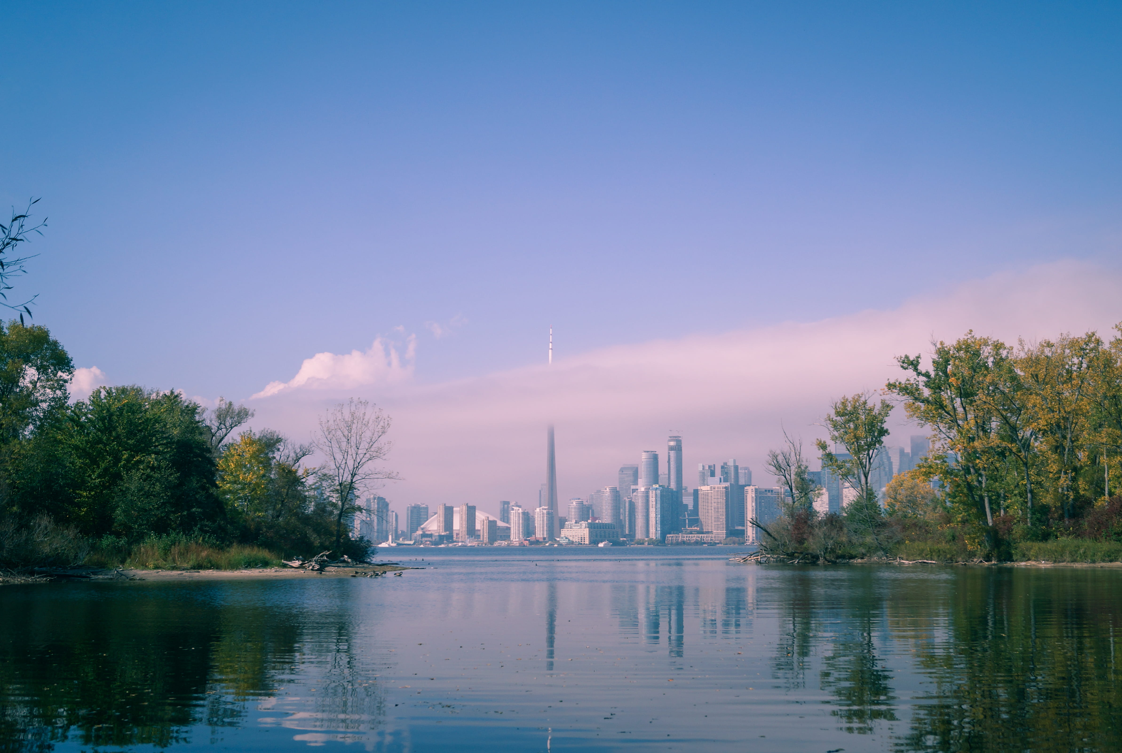 outdoors, building, trees, skyscraper, office building exterior, plant, nature, near, skyline, still, blue, travel destinations, landscape, urban Skyline, HD Wallpaper