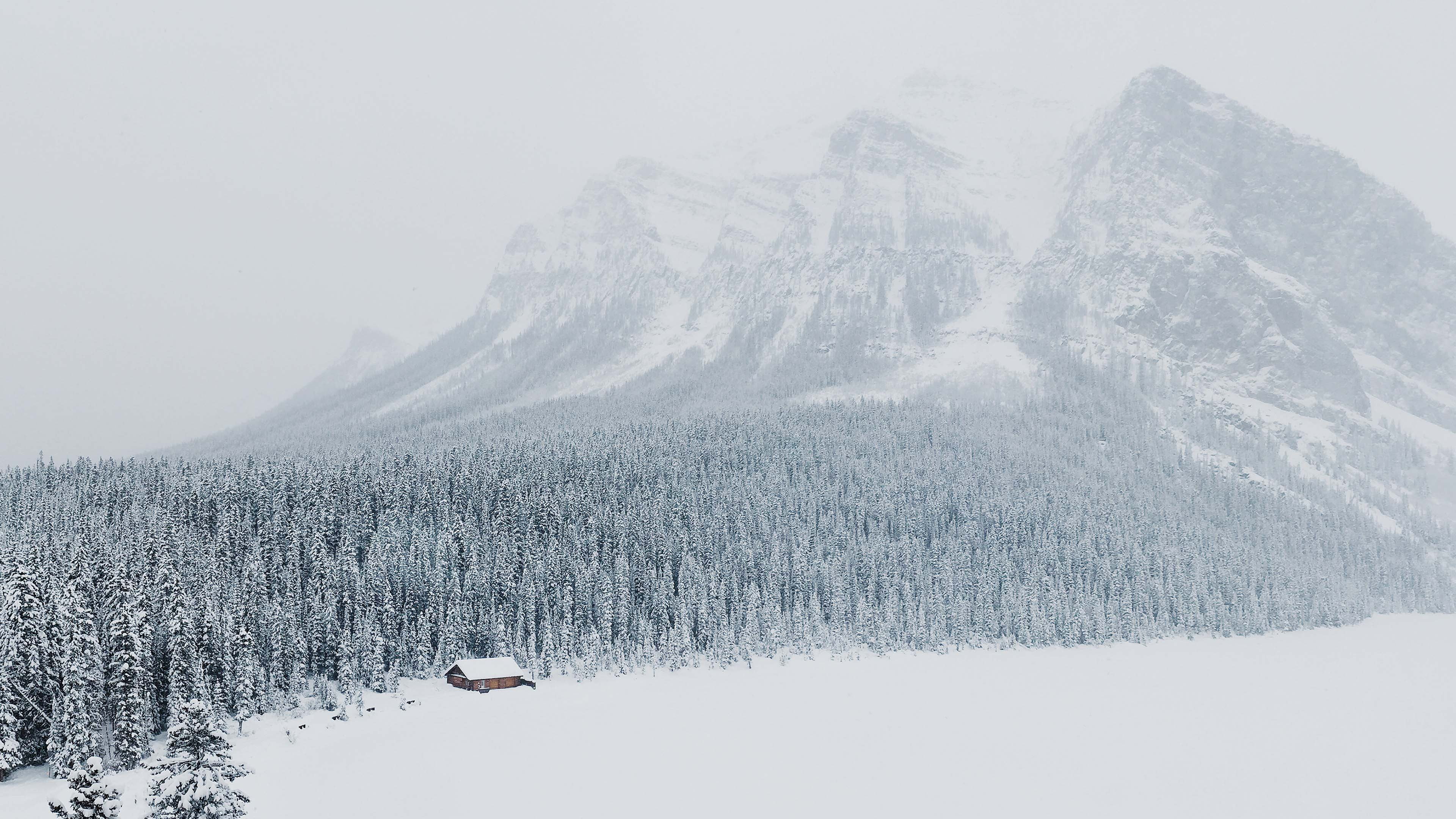 forest, season, environment, peak, tranquil scene, outdoors, tree, ice, pine, glacier, snowy, range, weather, outdoor, non-urban scene, slope, mountains, HD Wallpaper
