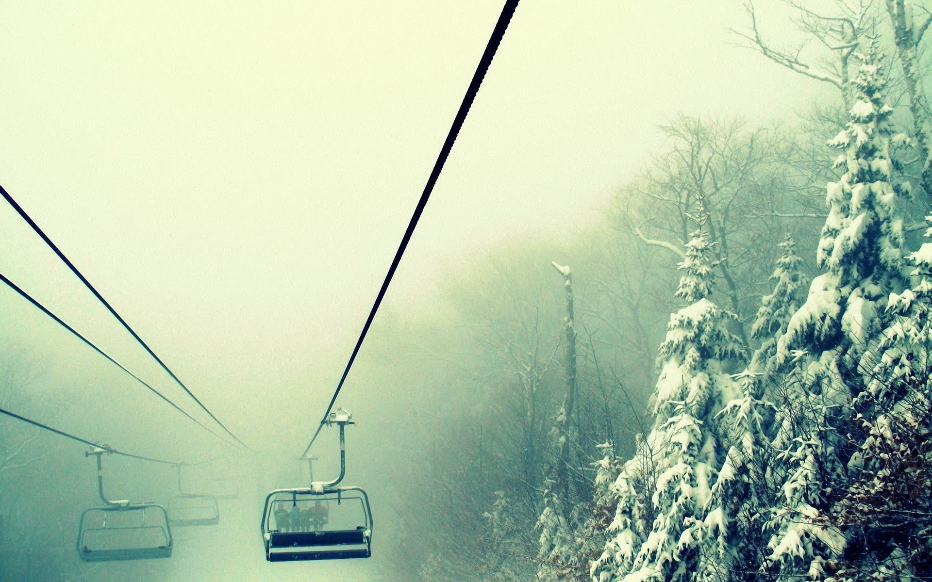 mode of transportation, transportation, coated, fog, cold temperature, trees, 1080P, mountain, winter, no people, overhead cable car, plant, nature, ski lift, HD Wallpaper