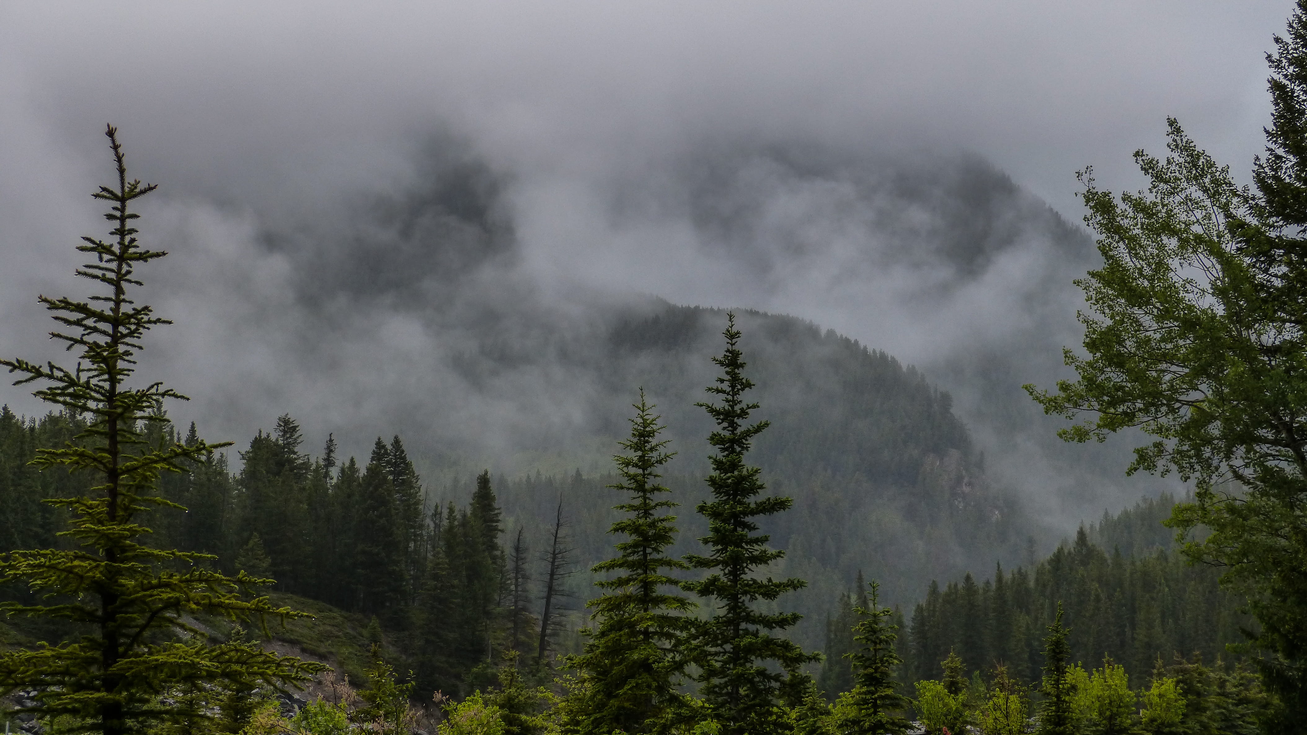 canada, mist, greenery, fog, environment, tranquil scene, outdoors, raindrop, scenics - nature, day, mountain, beauty in nature, clouds, non-urban scene, HD Wallpaper