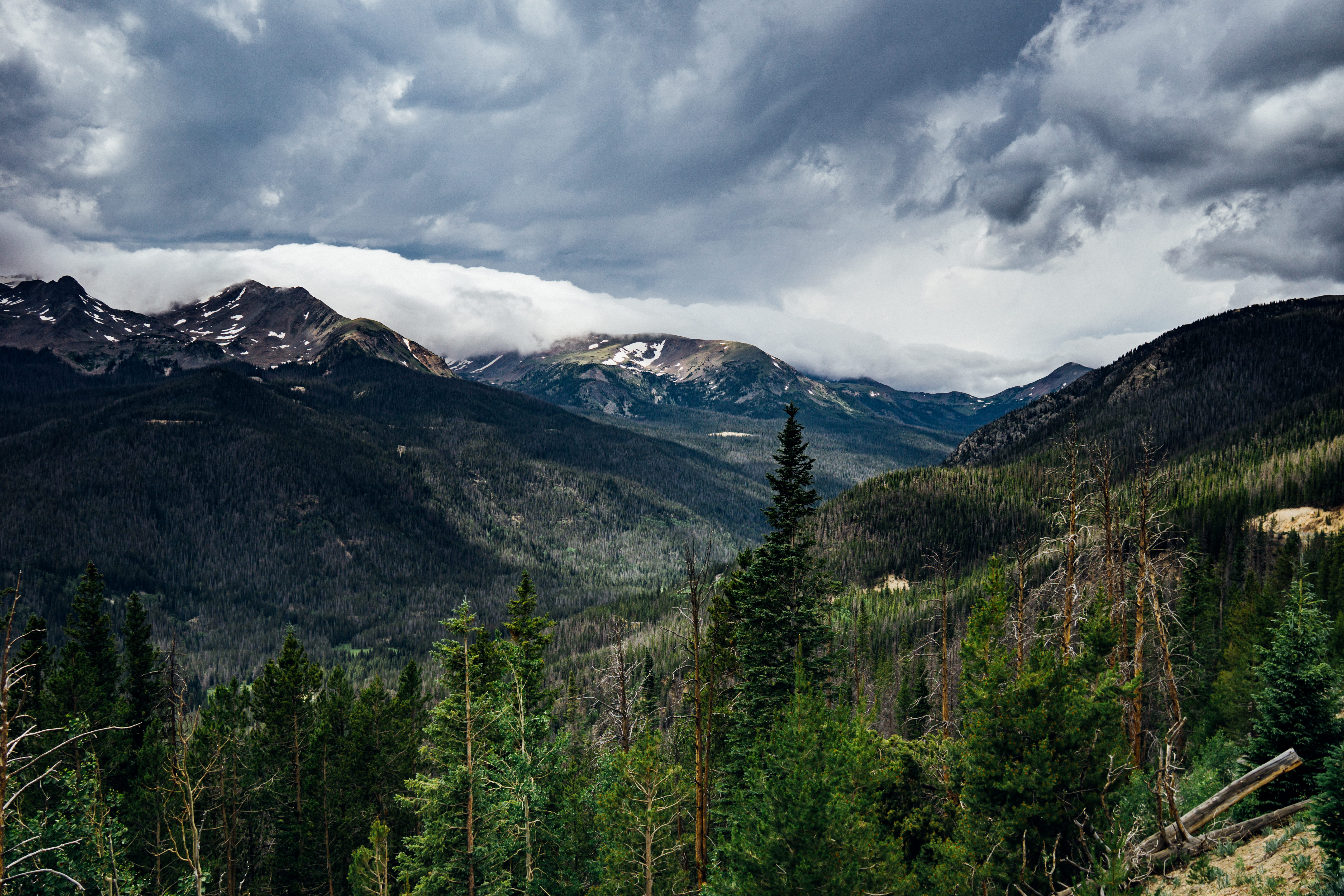mountain range, forest, tress, valley, snowcapped mountain, sky, hill, cloud, nature, no people, pine tree, clear sky, tree, scenics - nature, 5K, contrast, HD Wallpaper