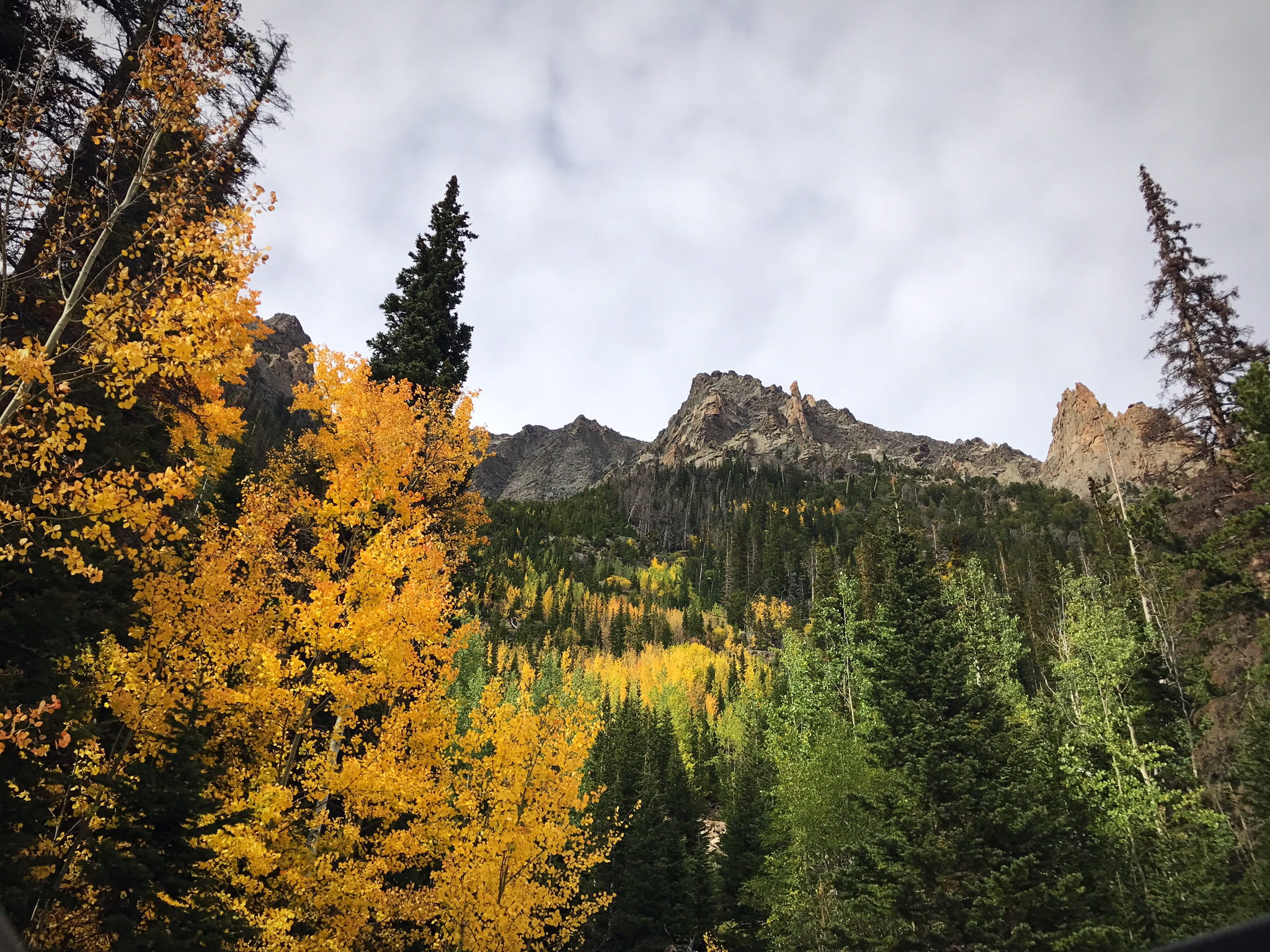 leave, woodland, pine tree, aspen, storm, near, landscape, outdoors, sky, scenics - nature, land, no people, pine, storm cloud, autumn, beauty in nature, HD Wallpaper