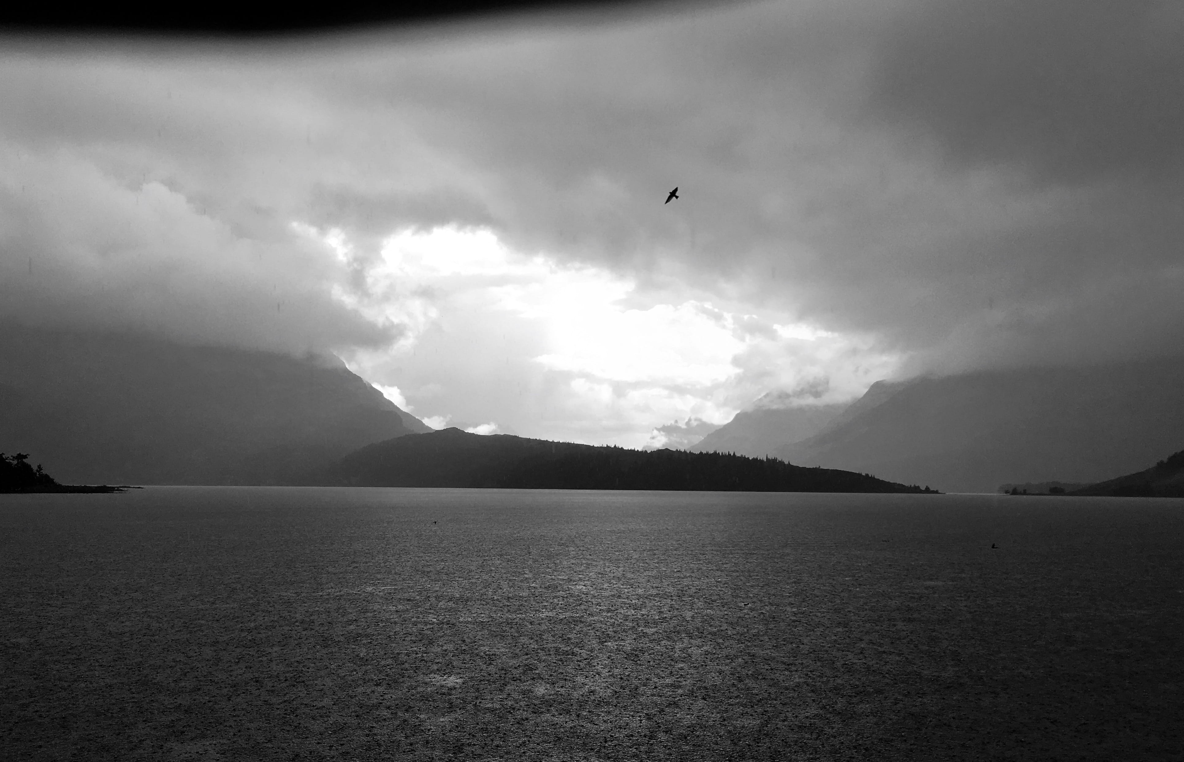 wanderlust, hope, mountain, animal themes, cloud - sky, outdoors, animal, 4K, land, rain, beauty in nature, tranquil scene, bird, nature, clouds, tranquility, HD Wallpaper
