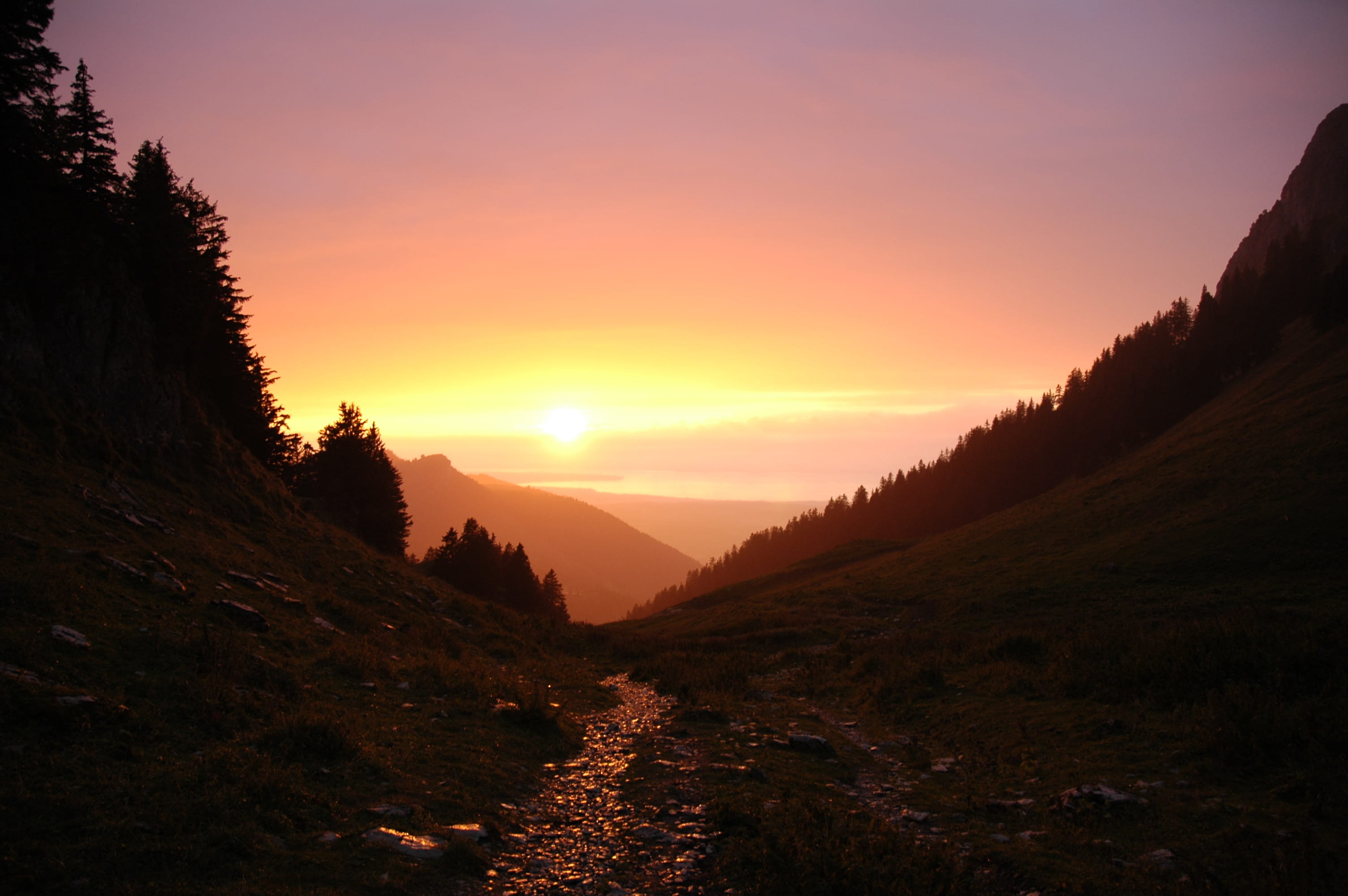 wet, altitude, orange color, idyllic, tranquility, environment, nature, warm, sunlight, tree, tranquil scene, landscape, storm, plant, forest, land, france, HD Wallpaper