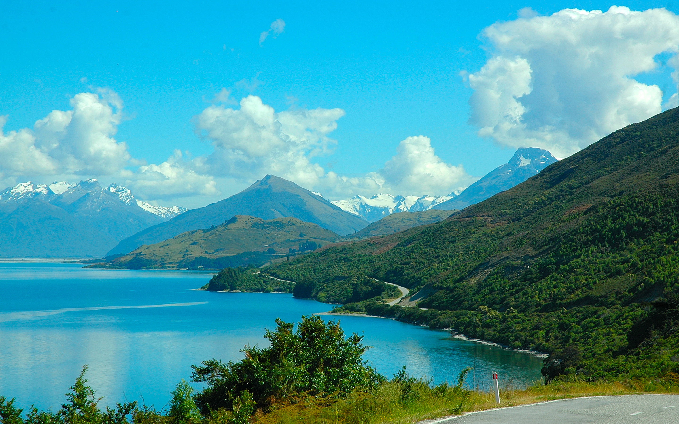 water, zealand, day, environment, tranquility, desktop, mountain, mountain range, non-urban scene, backgrounds, nature, pukaki, plant, scenics - nature, HD Wallpaper