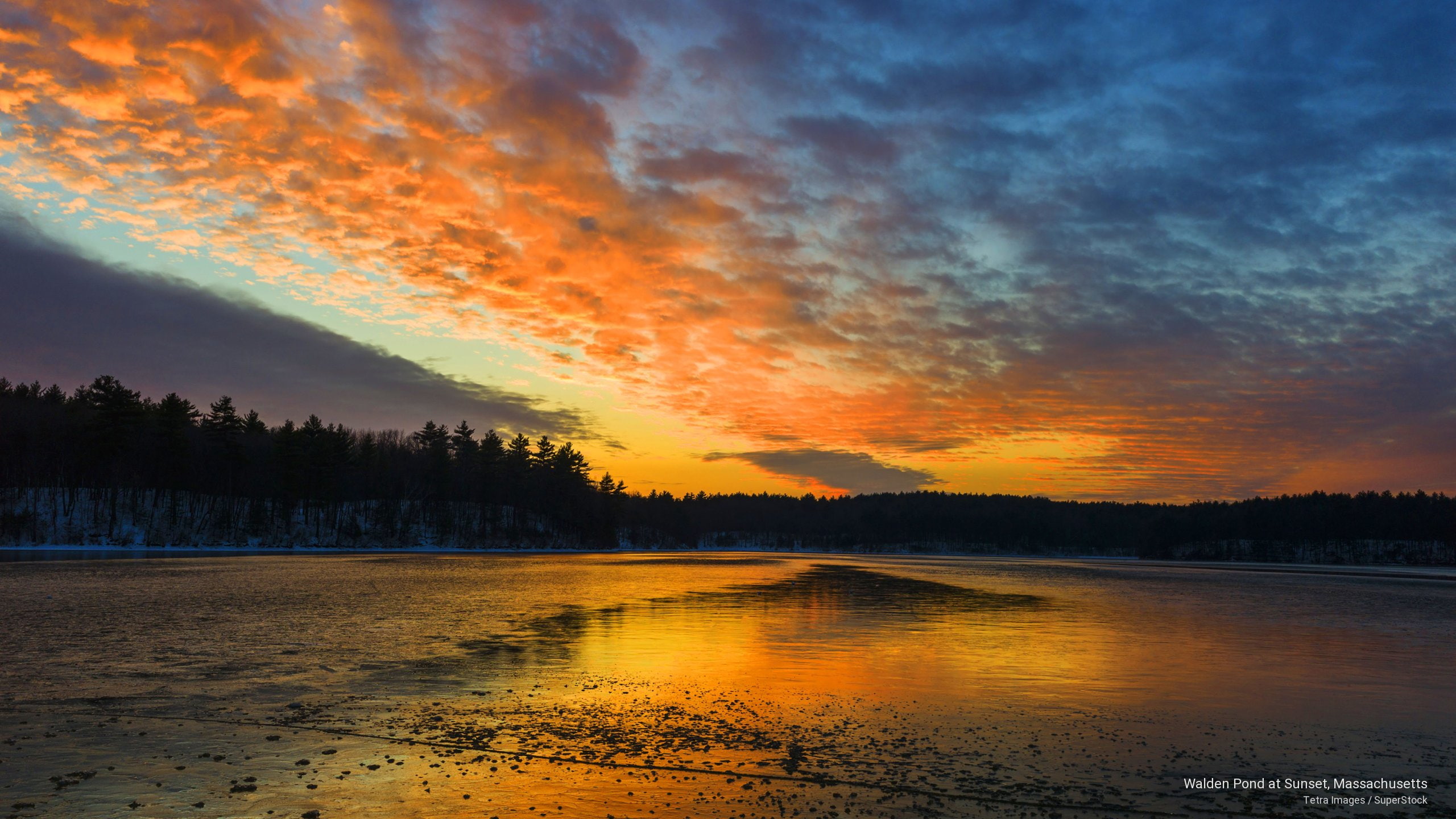 pond, 2K, Sunrises/Sunsets, walden, massachusetts, sunset, HD Wallpaper