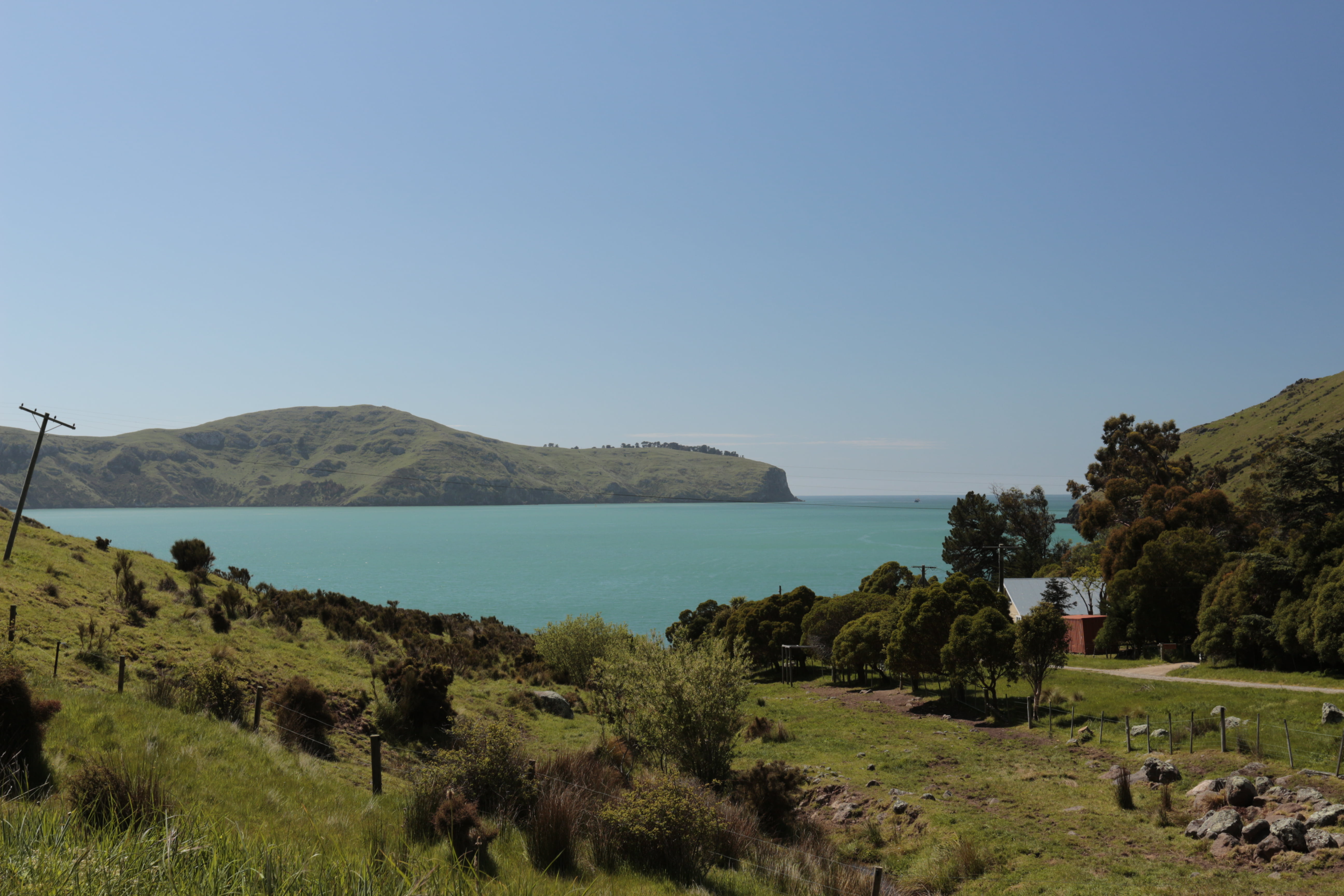nature, sea, clear sky, field, green, beauty in nature, outdoors, landscape, water, land, New Zealand, 5K, copy space, tranquility, blue, day, tree, scenics - nature, HD Wallpaper