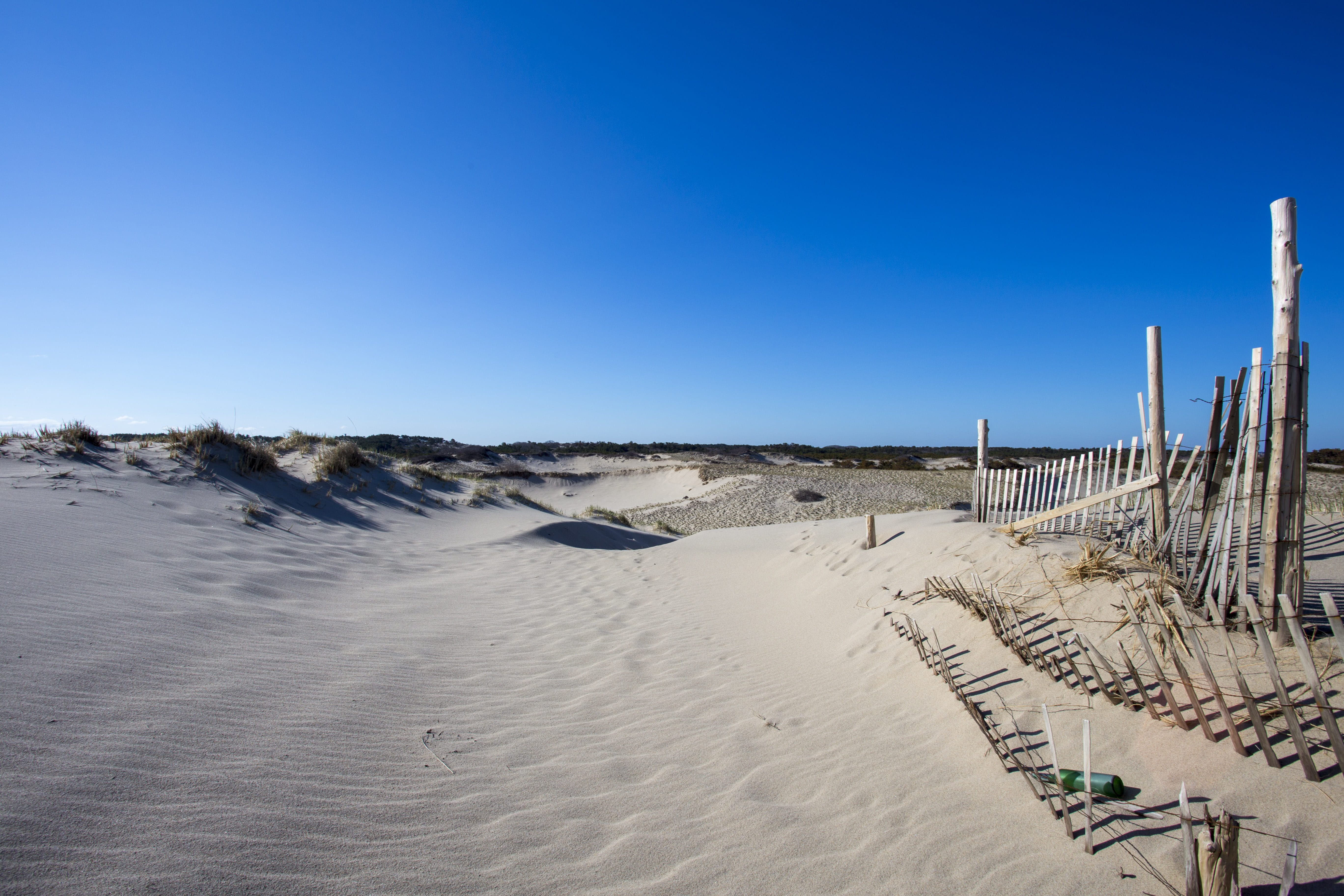 copy space, outdoors, sand, blue, day, climate, massachusetts, fences, 5K, nature, national seashore, land, cape cod, no people, clear sky, arid climate, HD Wallpaper