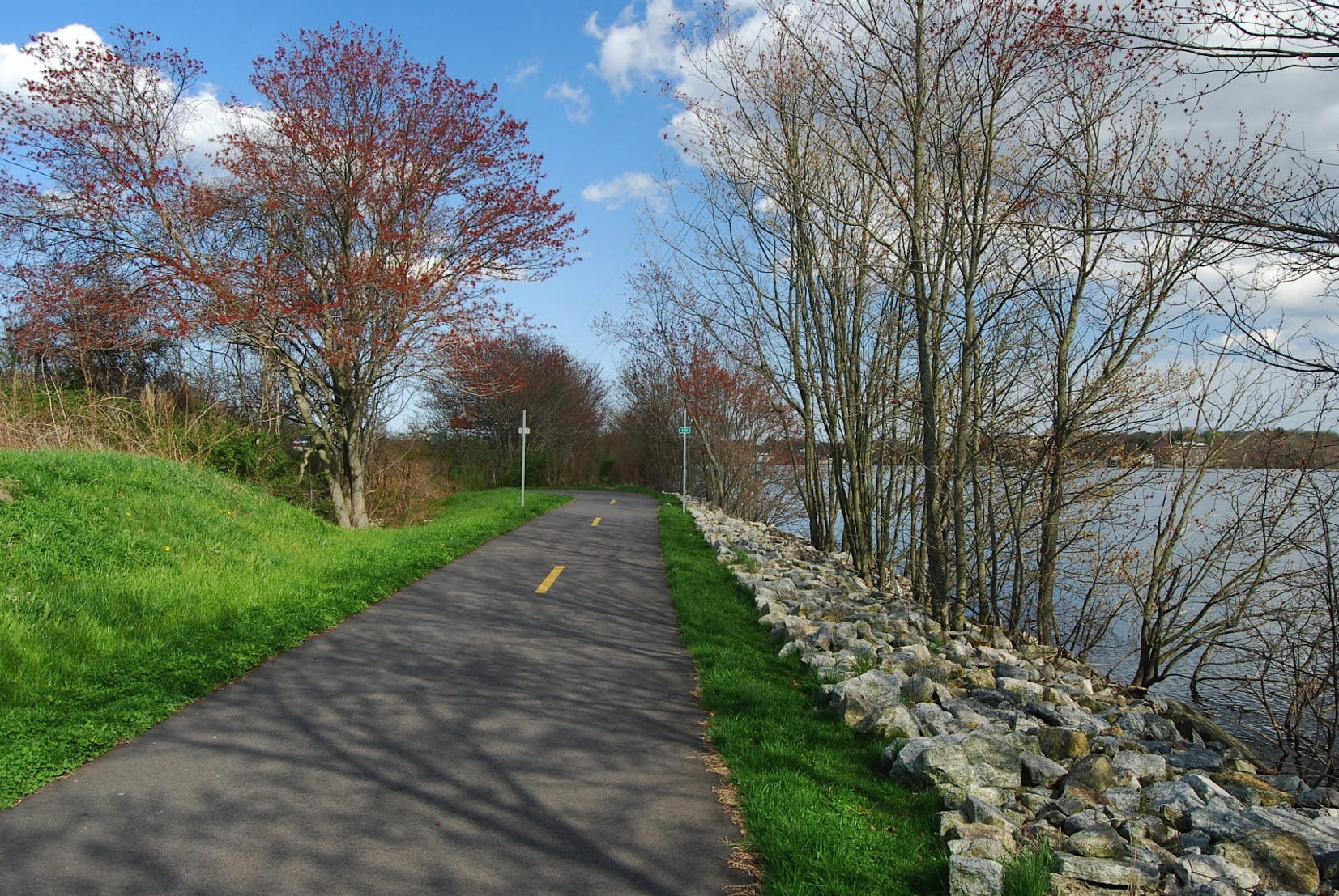 nature, no people, tree, direction, the way forward, tranquility, water, trees, Massachusetts, clouds, plant, long, bare tree, growth, plants, scenics - nature, HD Wallpaper