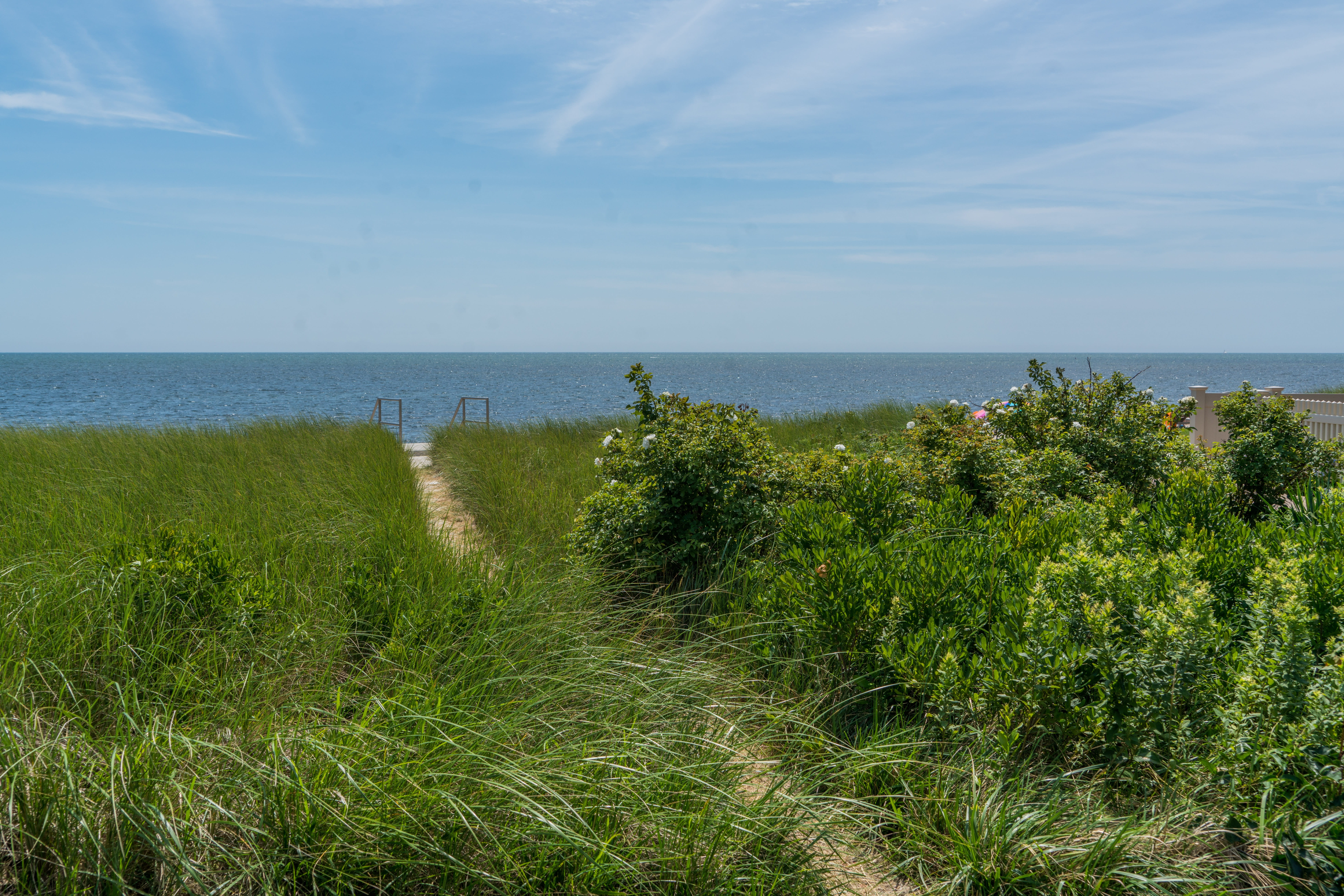 grass, nature, scenics - nature, water, yarmouth, non-urban scene, atlantic, ocean, plant, sea, sky, tranquility, massachusetts, scenic, shore, land, tranquil scene, HD Wallpaper