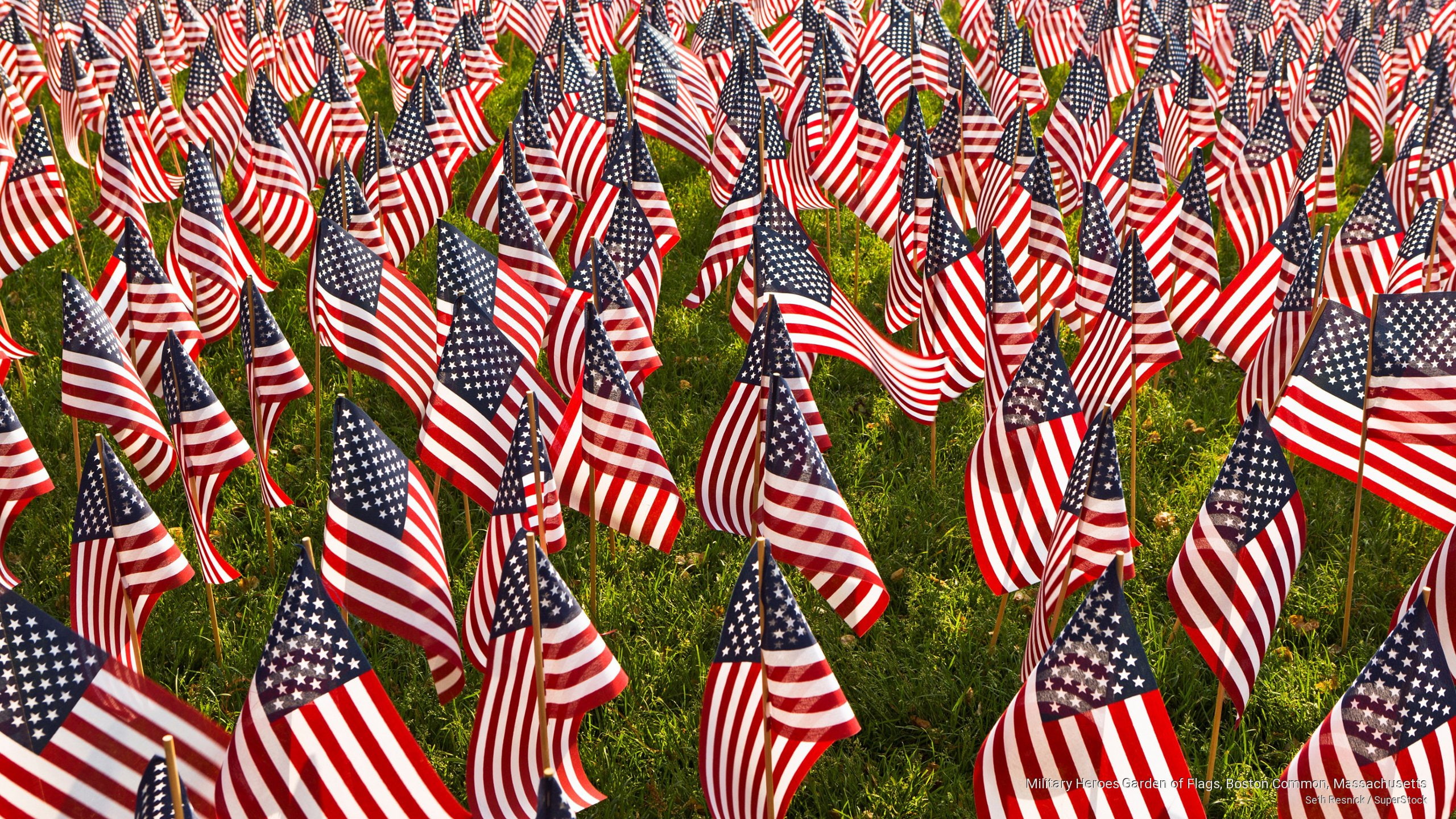 common, massachusetts, heroes, boston, Holidays, military, 2K, flags, garden, HD Wallpaper