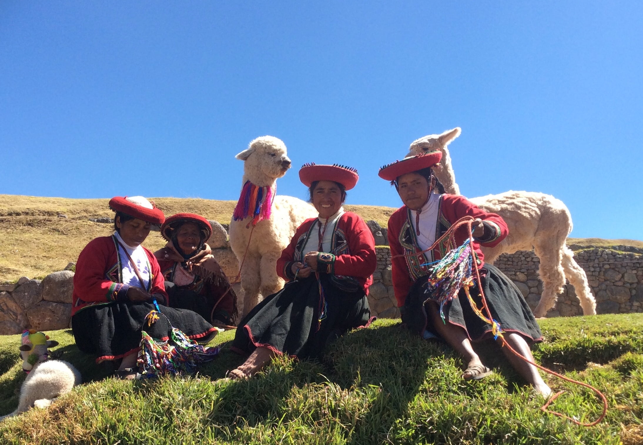 land, andes, 1080P, agriculture, grass, sunlight, peru, farmer, outdoors, heritage, rural scene, men, cultures, traditional, group of people, mammal, domestic animals, HD Wallpaper