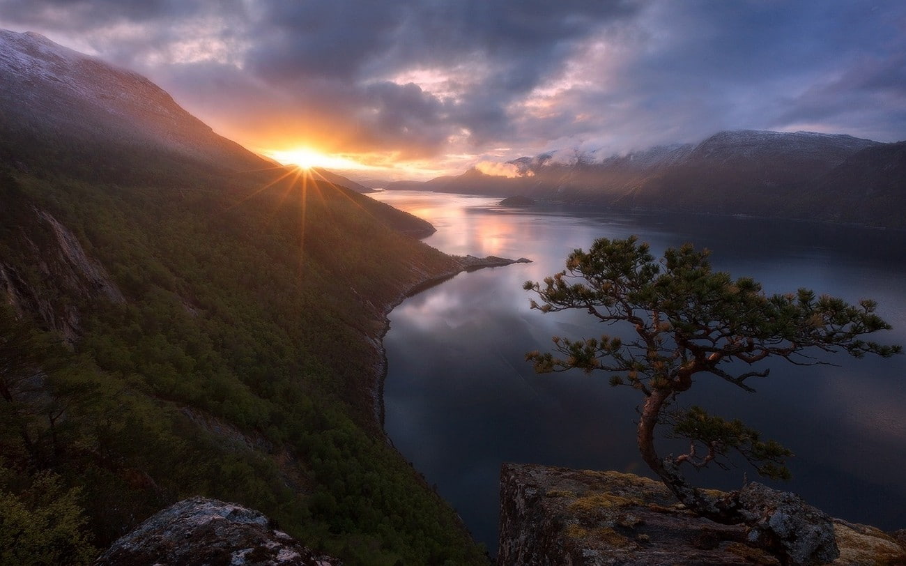 trees, 720P, shrubs, sunset, nature, Norway, landscape, mist, mountains, clouds, snowy peak, fjord, HD Wallpaper