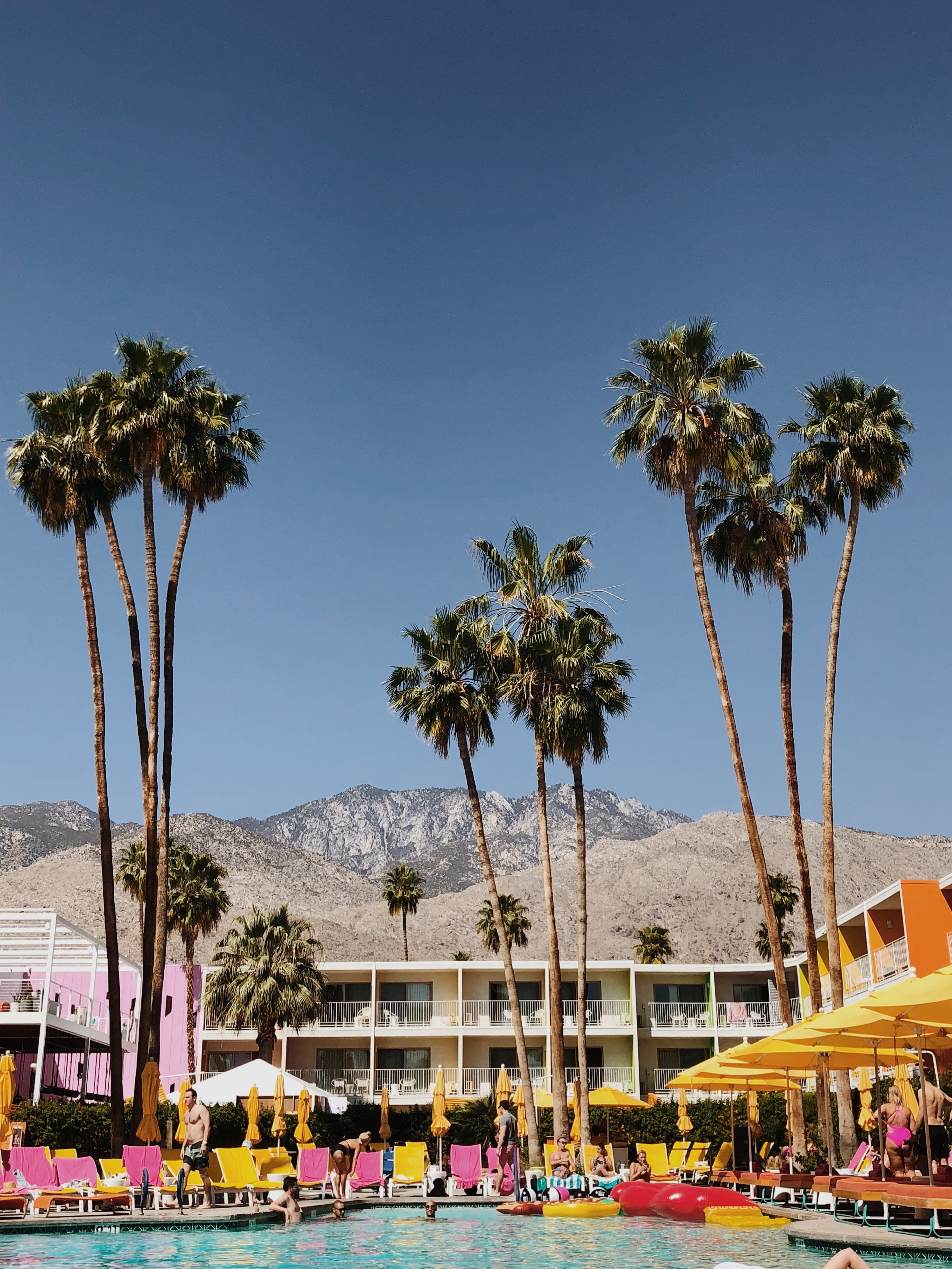 festival, mountain, 4K, plant, palmtree, mode of transportation, summer, day, architecture, palm spring, tropical climate, tree, palm tree, city, clear sky, Phone HD Wallpaper