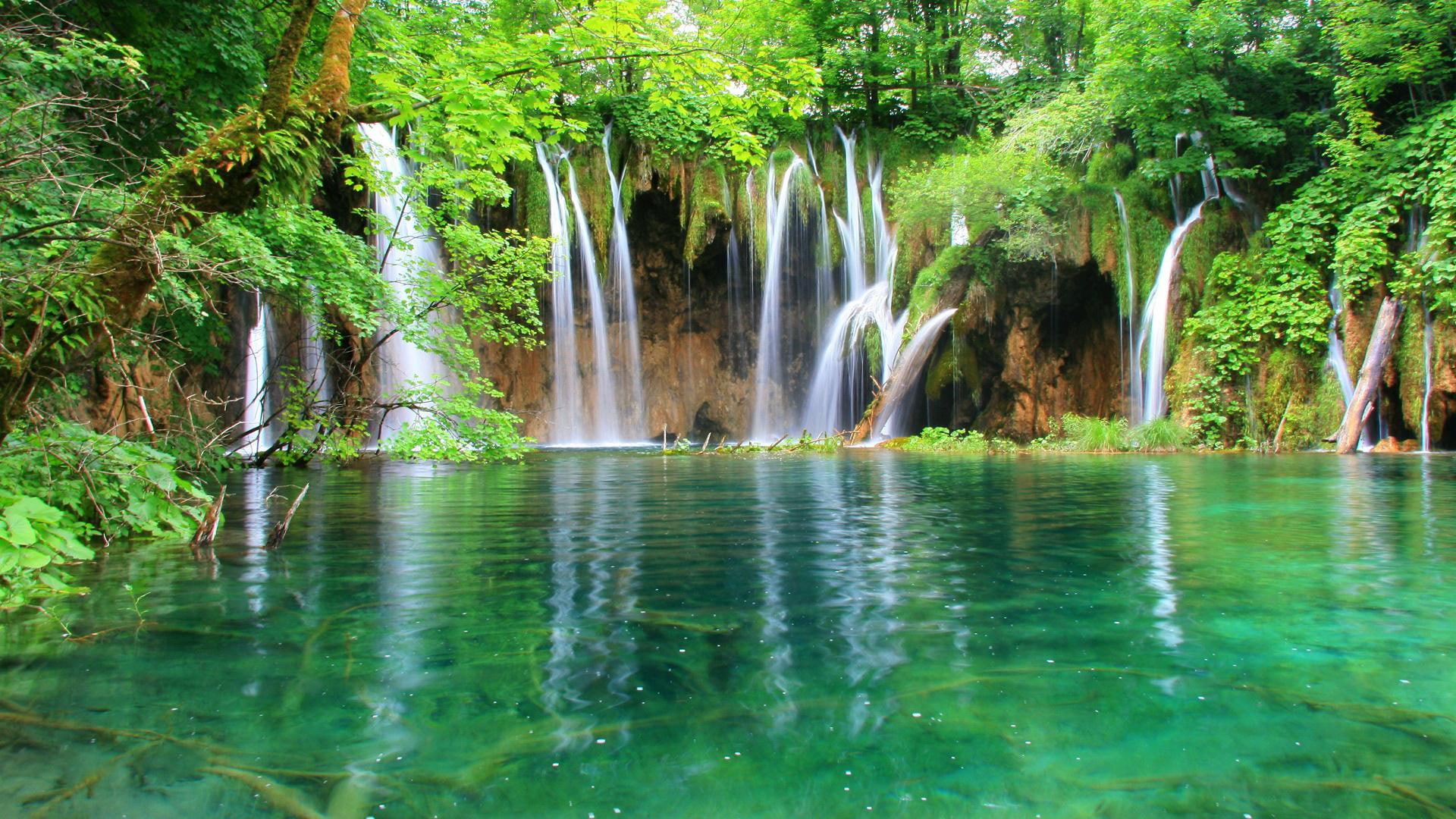 trees, green, 1080P, river, nearby, water, jungle, waterfall, wood, falls, leafed, HD Wallpaper