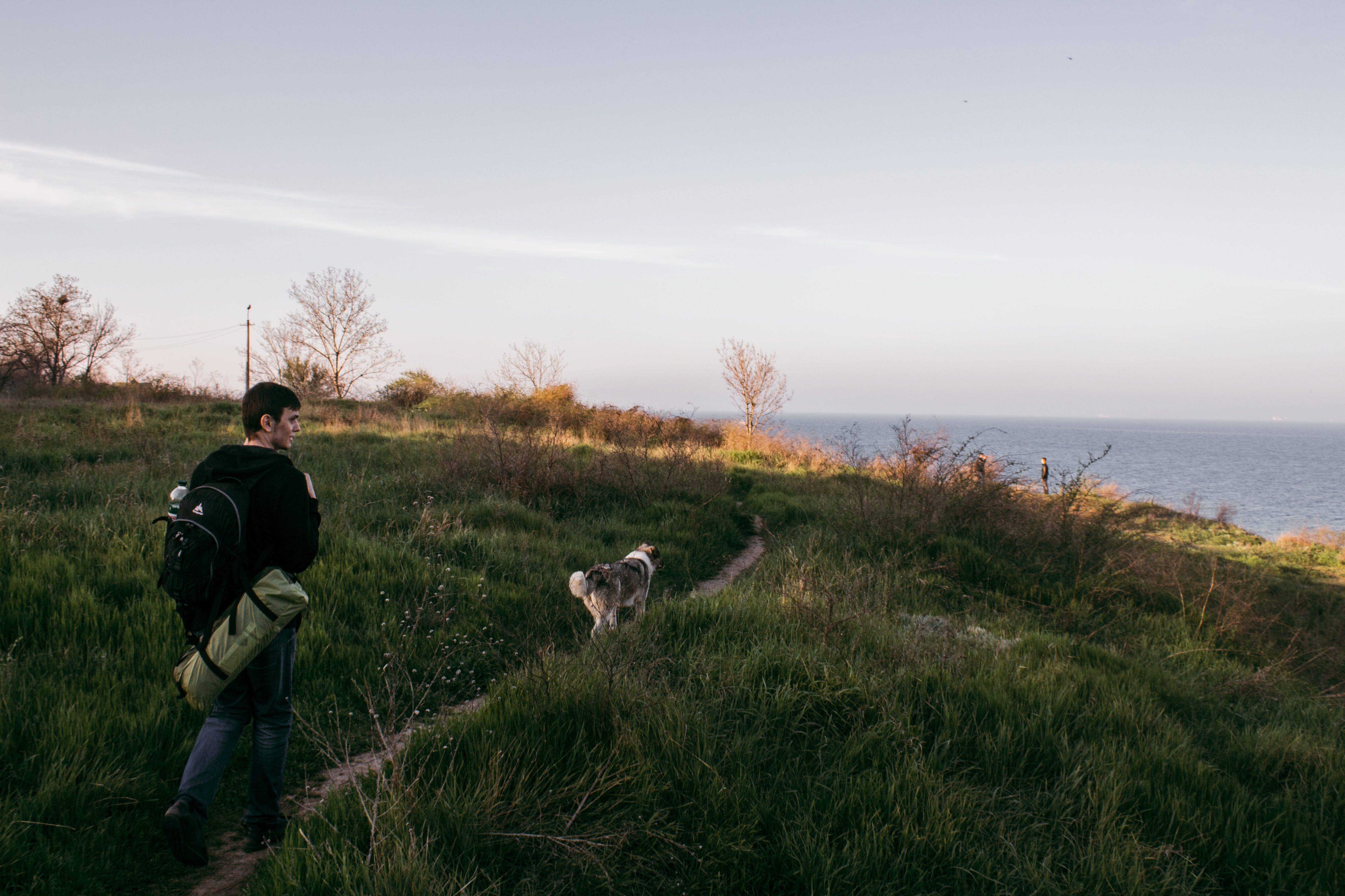 person, grass, nature, sea, dog, 5K, animal, people, nearby, sky, men, one animal, pets, pathway, outdoors, rear view, border collie, landscape, domestic animals, HD Wallpaper