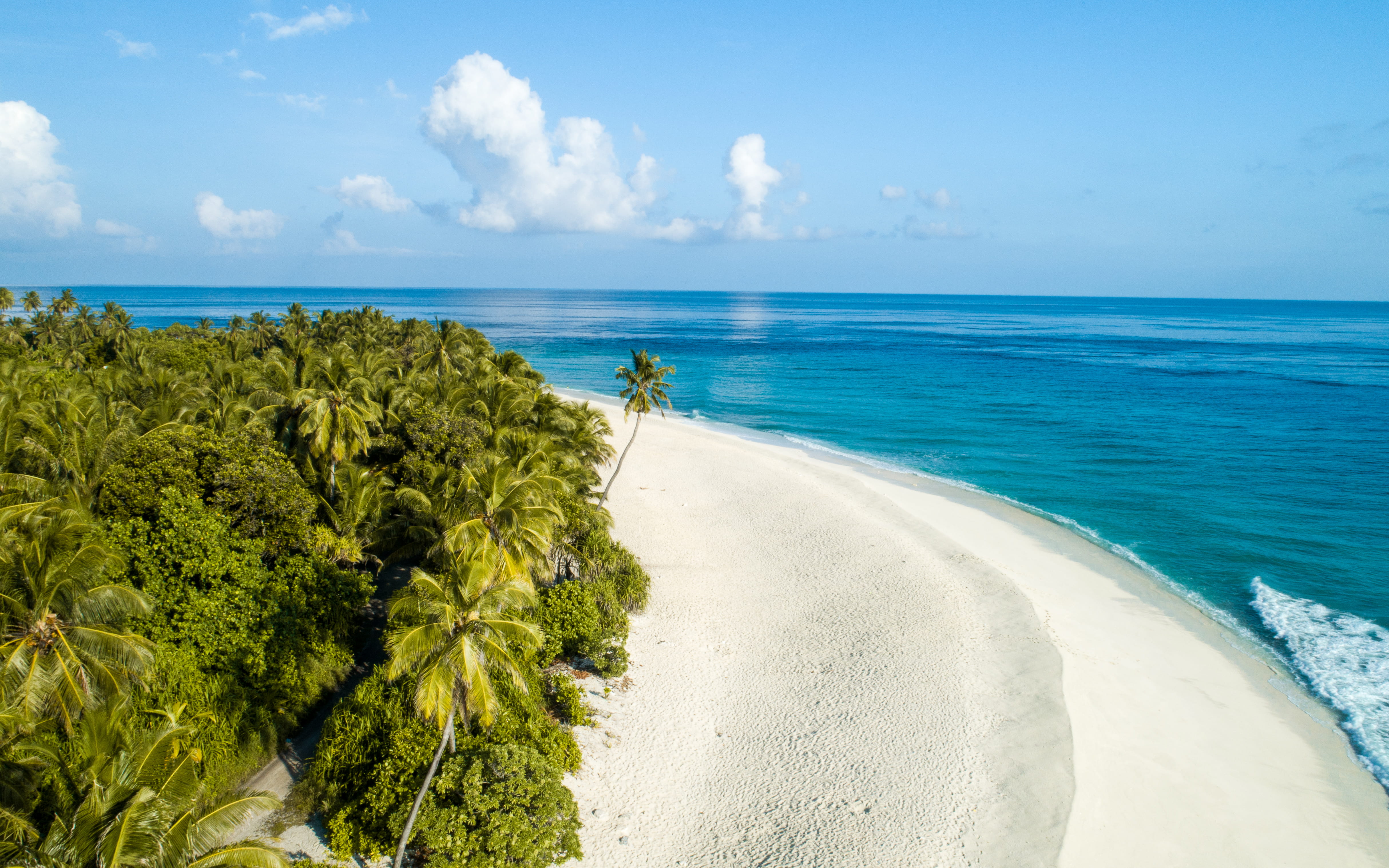 day, plant, tree, nearby, sea, turquoise colored, seashore, beach, land, tranquil scene, beauty in nature, scenics - nature, green, 4K, sand, nature, palm, HD Wallpaper