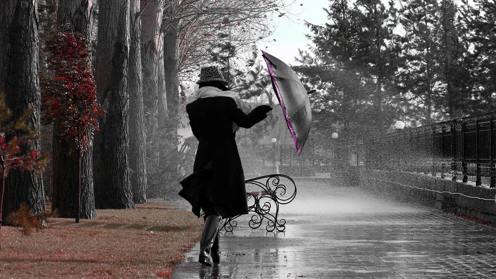 wheeled vehicle, active, male, outdoors, man, silhouette, conveyance, people, romantic, canopy, umbrella, jump, unicycle, 1080P, person, adult, vehicle, HD Wallpaper