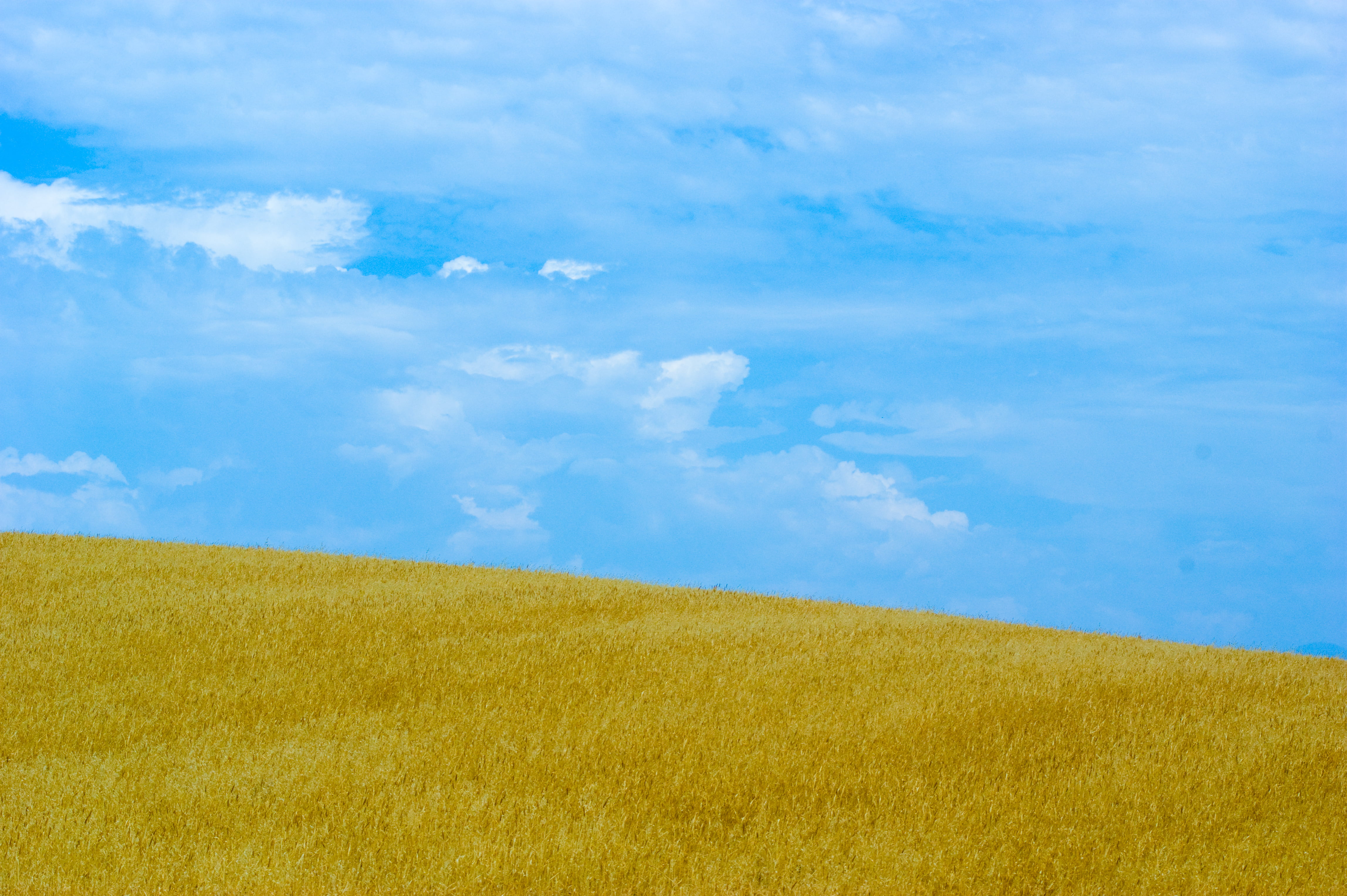 agriculture, clouds, hometown, sky, rural Scene, a350, summer, farm, beercan, san, nature, Dry farming, green, meadow, cloud - Sky, digest, jpg, delano, HD Wallpaper