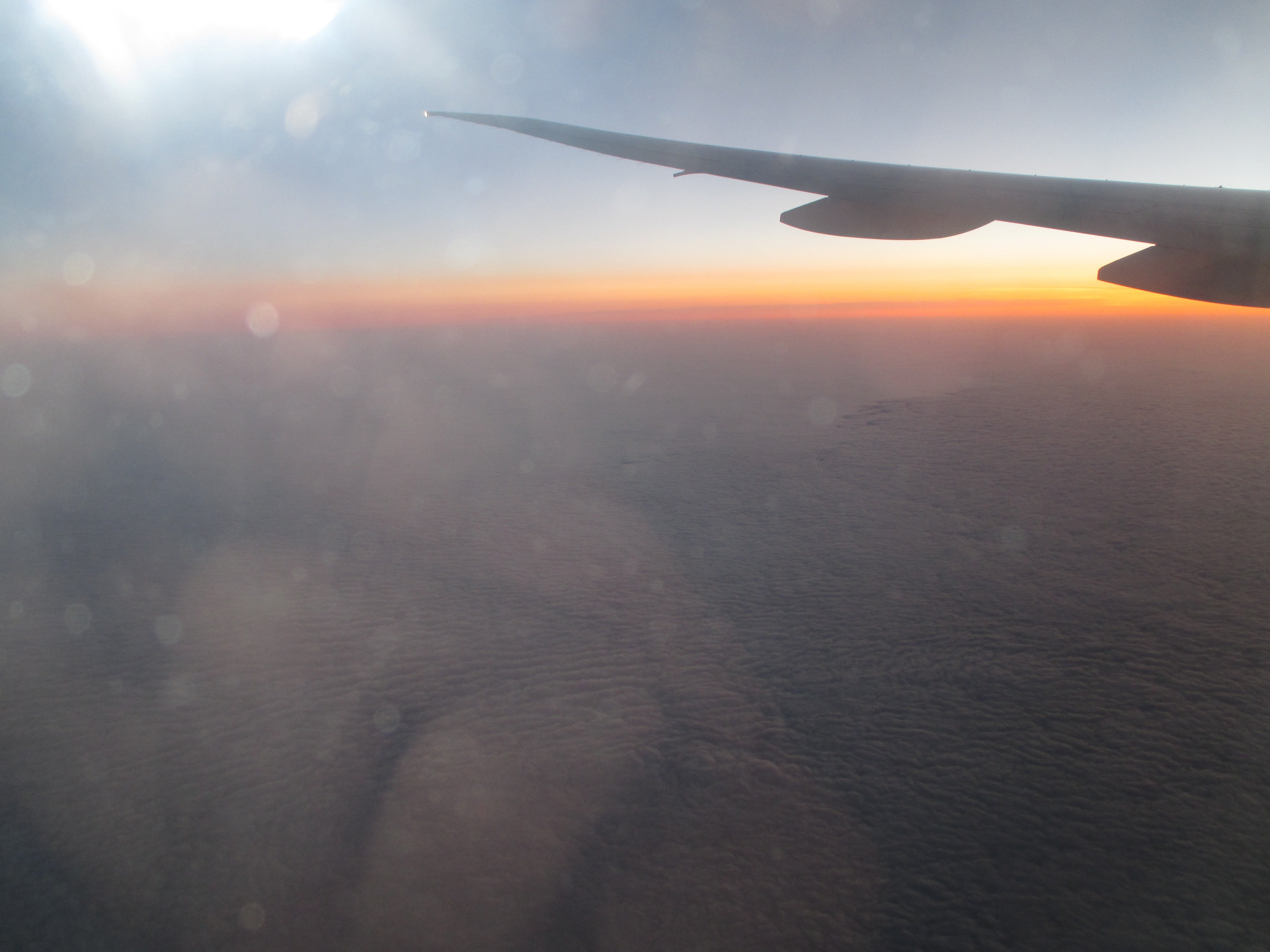 4K, airline, flight, turkish, HD Wallpaper