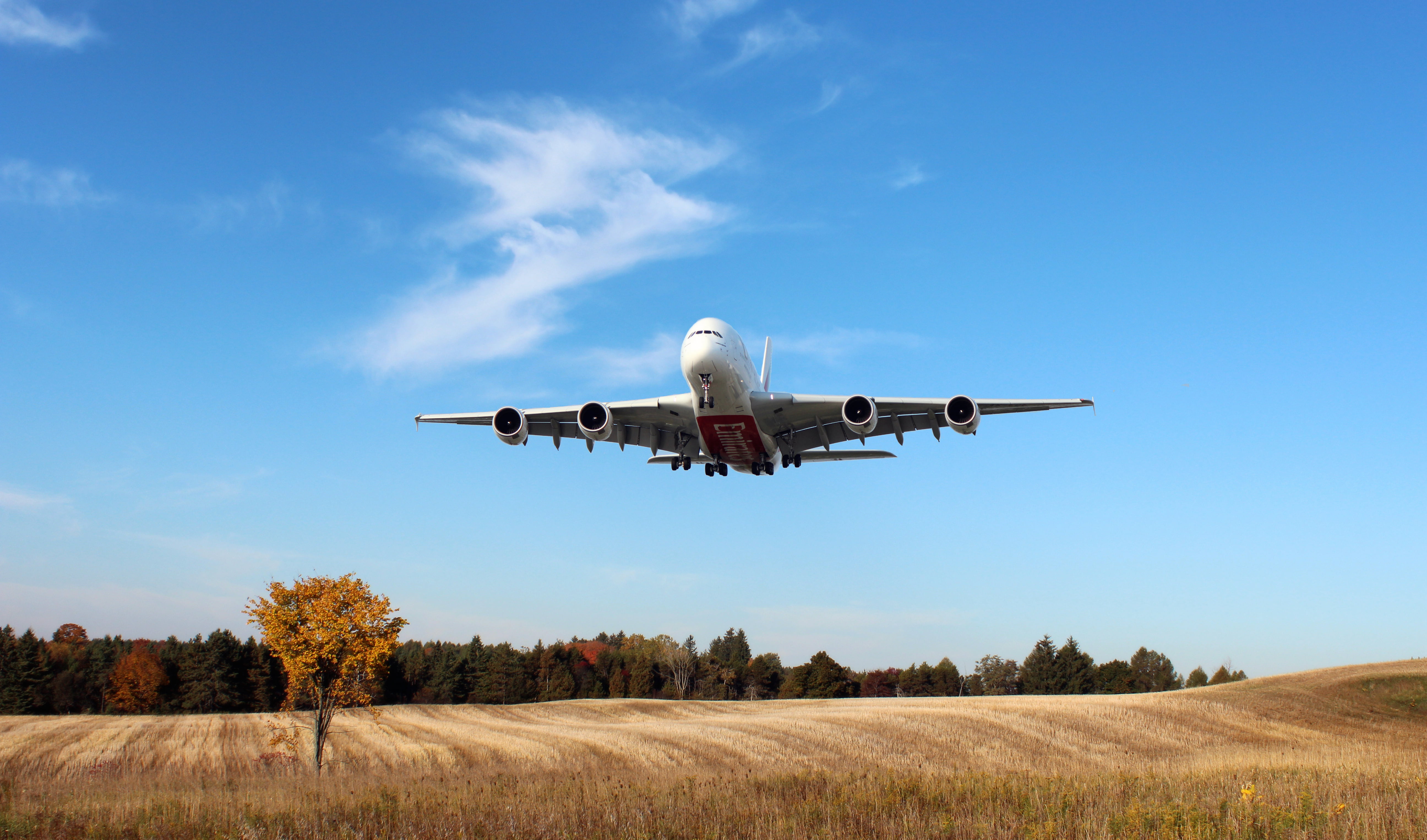 tree, 5K, cloud - Sky, Passenger, sky, The sky, travel Destinations, people Traveling, business, red, environment, agriculture, landscape, sunlight, outdoors, HD Wallpaper