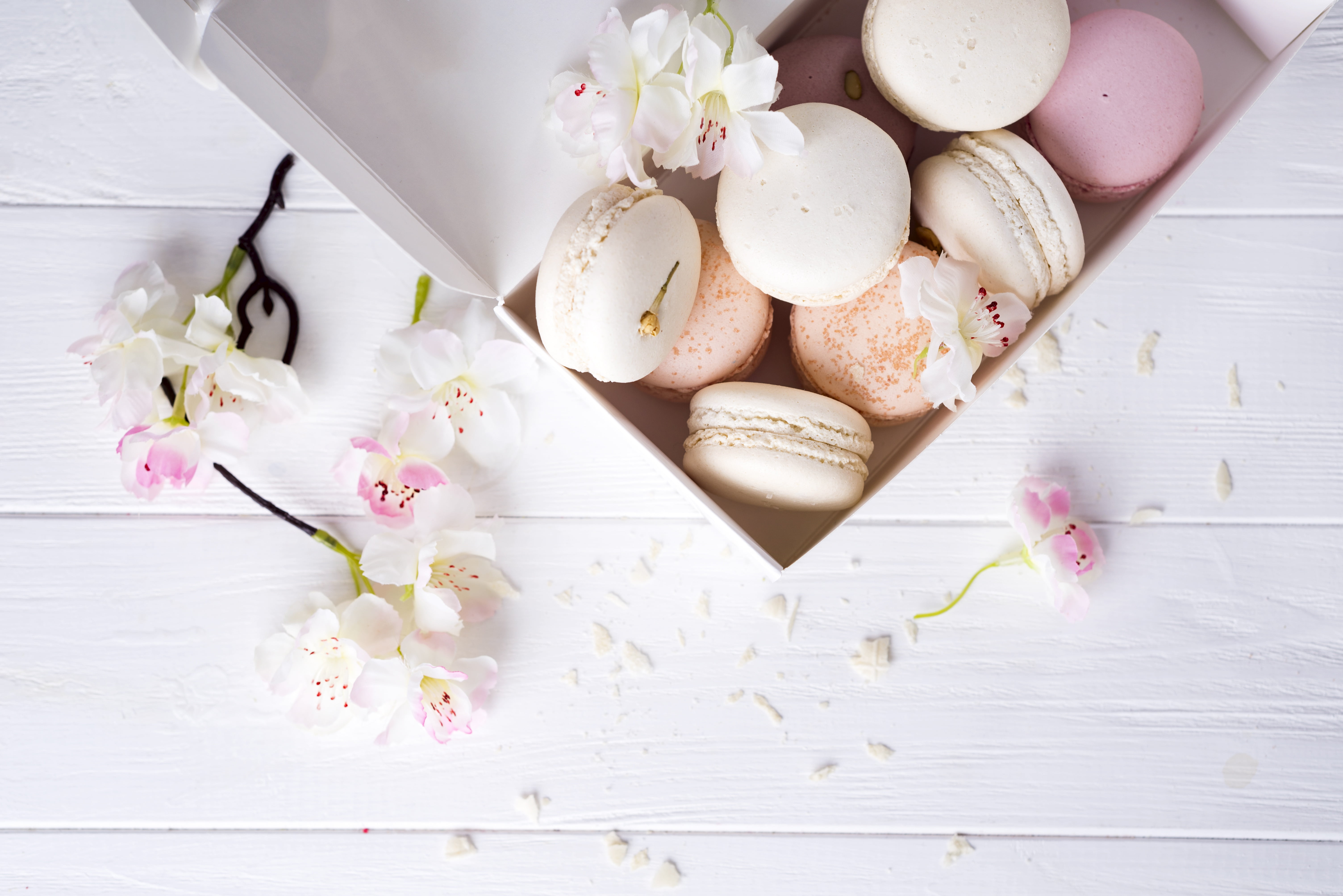 flowers, dessert, french, cake, sweet, pastel, colorful, 5K, macaroon, macaron, cakes, HD Wallpaper