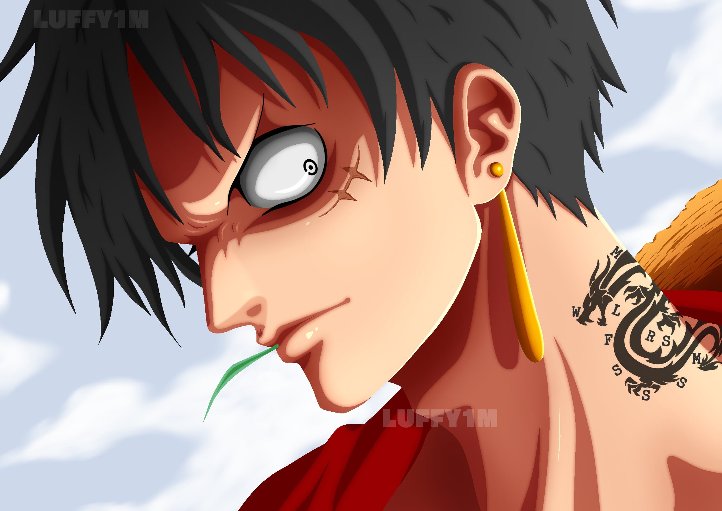 1080P, Monkey D. Luffy, One Piece, HD Wallpaper