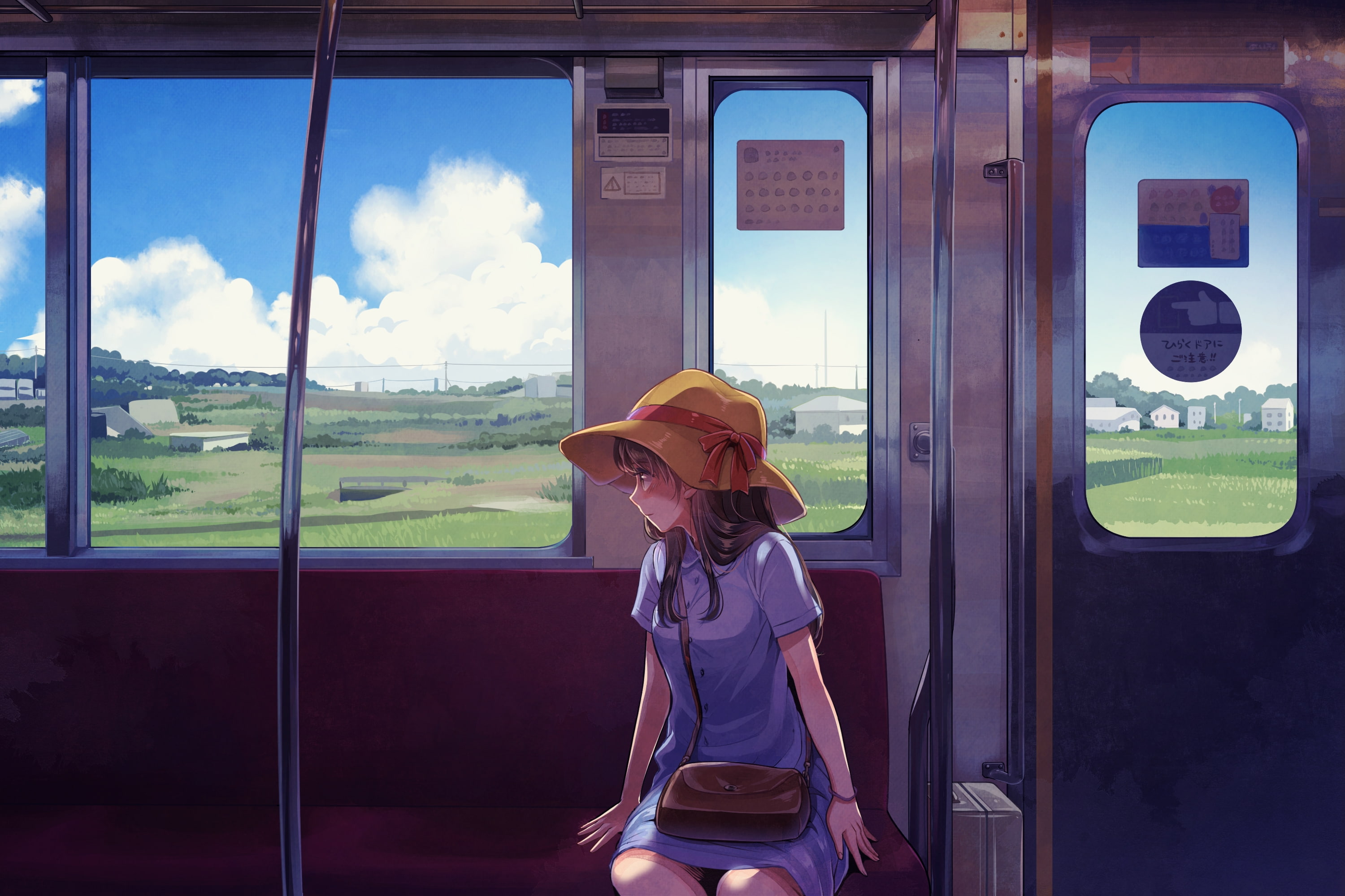 anime girl, fields, train trip, Anime, strawhat, 2K, HD Wallpaper