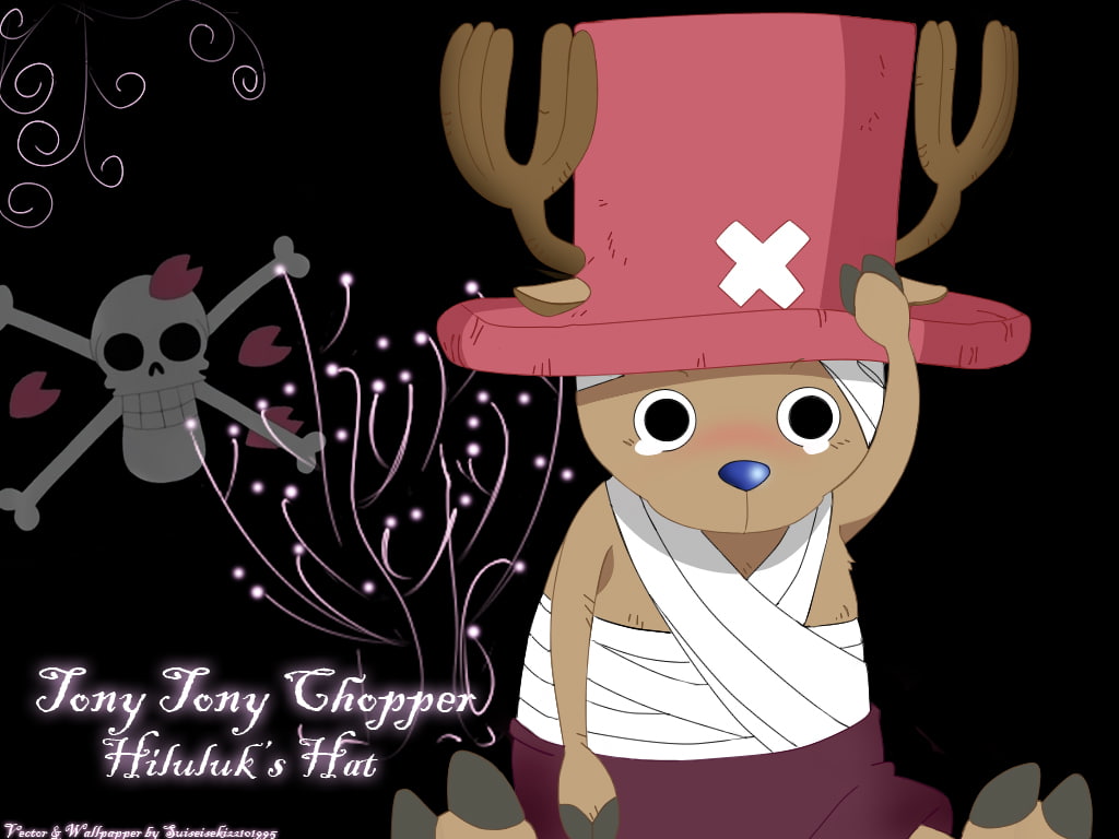 doctor, 480P, strawhat, tony Chopper, pirates, anime, one Piece, HD Wallpaper
