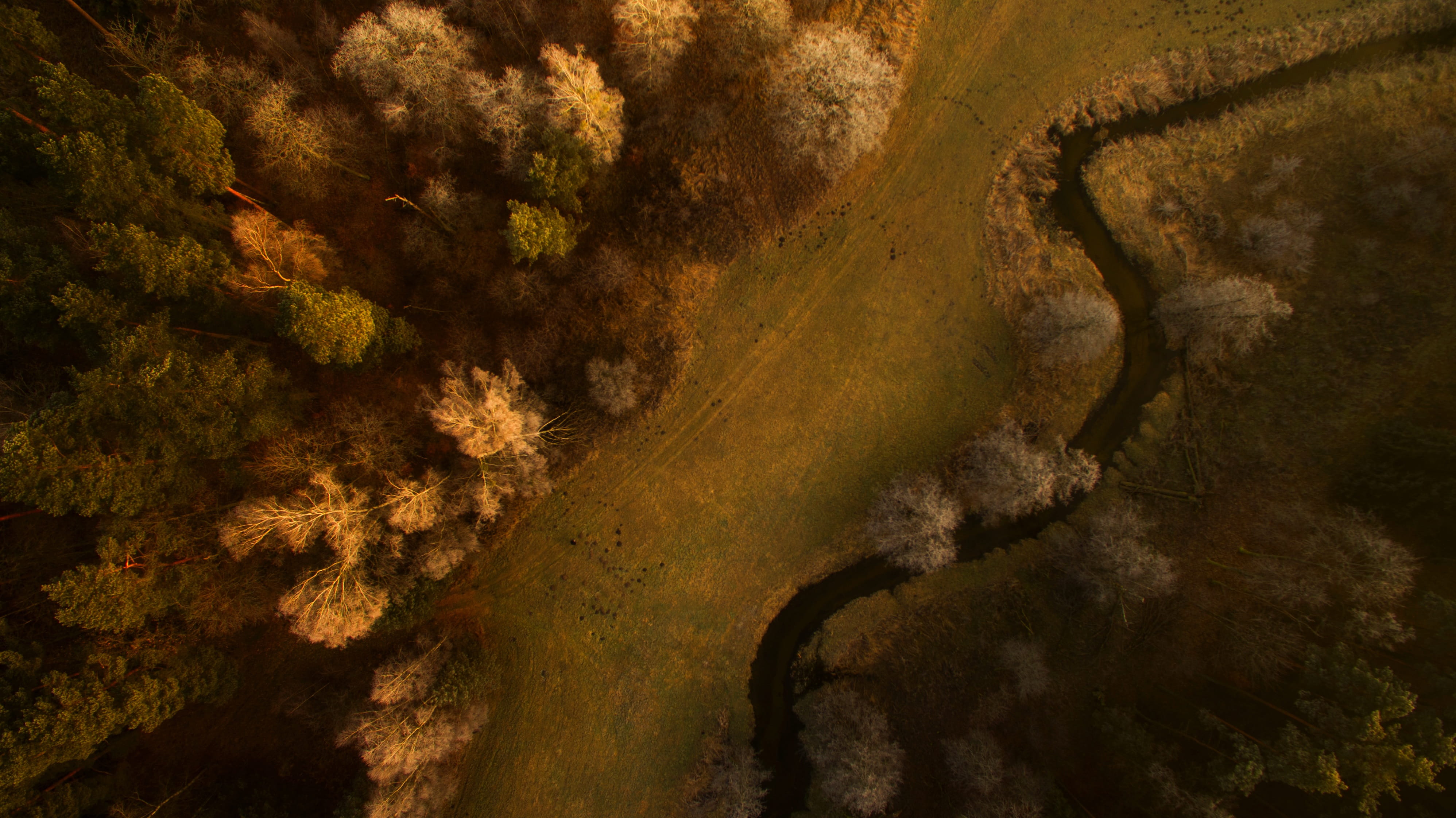 backgrounds, no people, tranquil scene, autumn, river, beauty in nature, 4K, green color, growth, landscape, land, environment, tranquility, drone, scenics - nature, HD Wallpaper