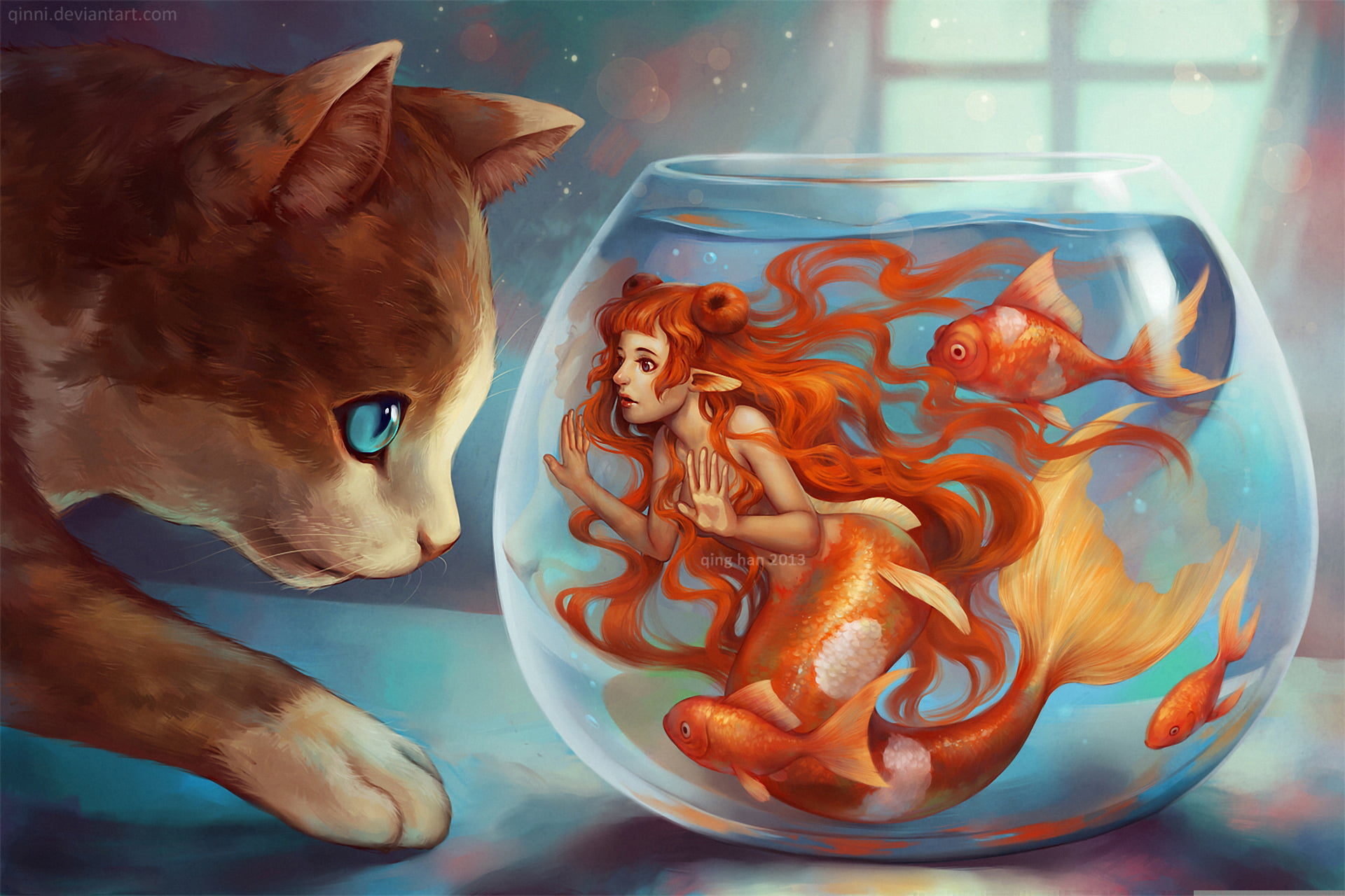 inside, glass - material, animal themes, cute, 1080P, backgrounds, window, water, one animal, kitten, illustration, domestic animals, looking, nature, HD Wallpaper