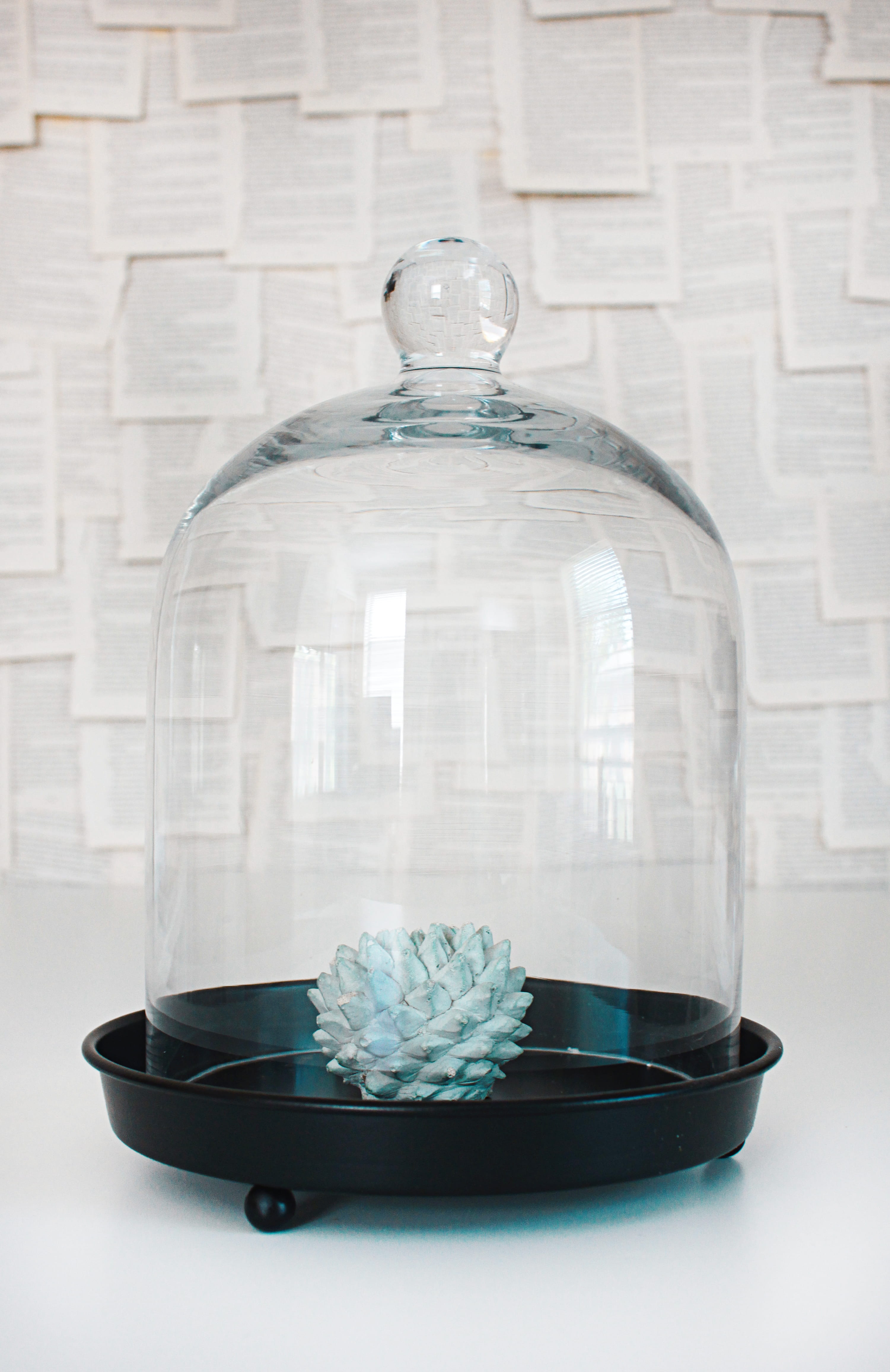 bell jar, book pages, indoors, bottle, science, close-up, container, care, chemistry, no people, transparent, healthcare and medicine, studio shot, glass jar, Phone HD Wallpaper