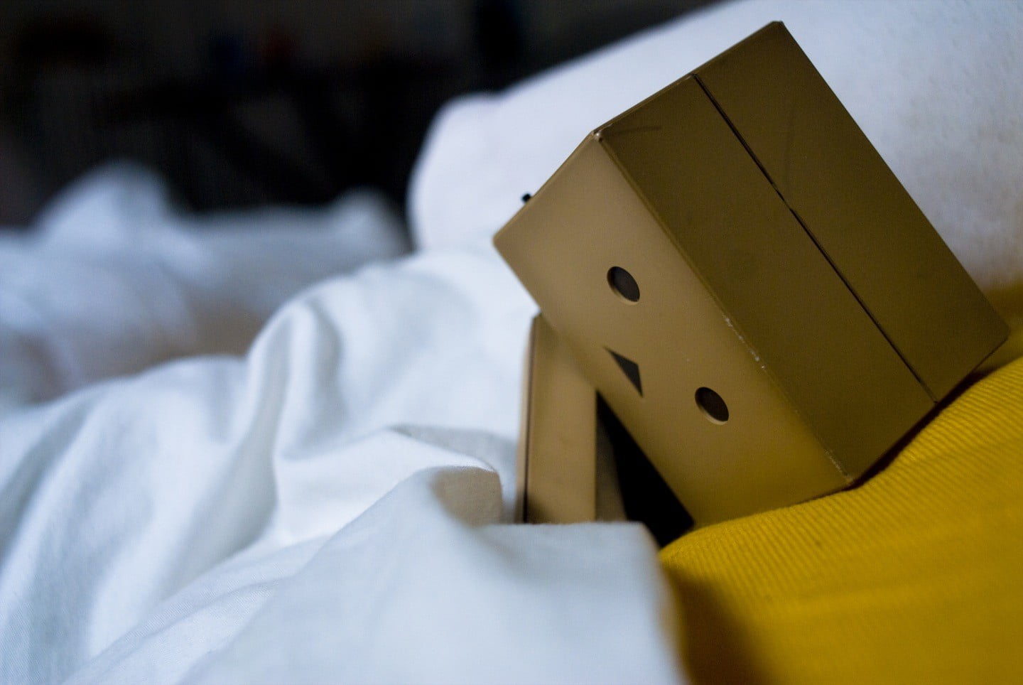 paper, furniture, relaxation, bedroom, selective focus, opportunity, no people, Amazon, focus on foreground, leisure games, luck, indoors, close-up, domestic room, HD Wallpaper