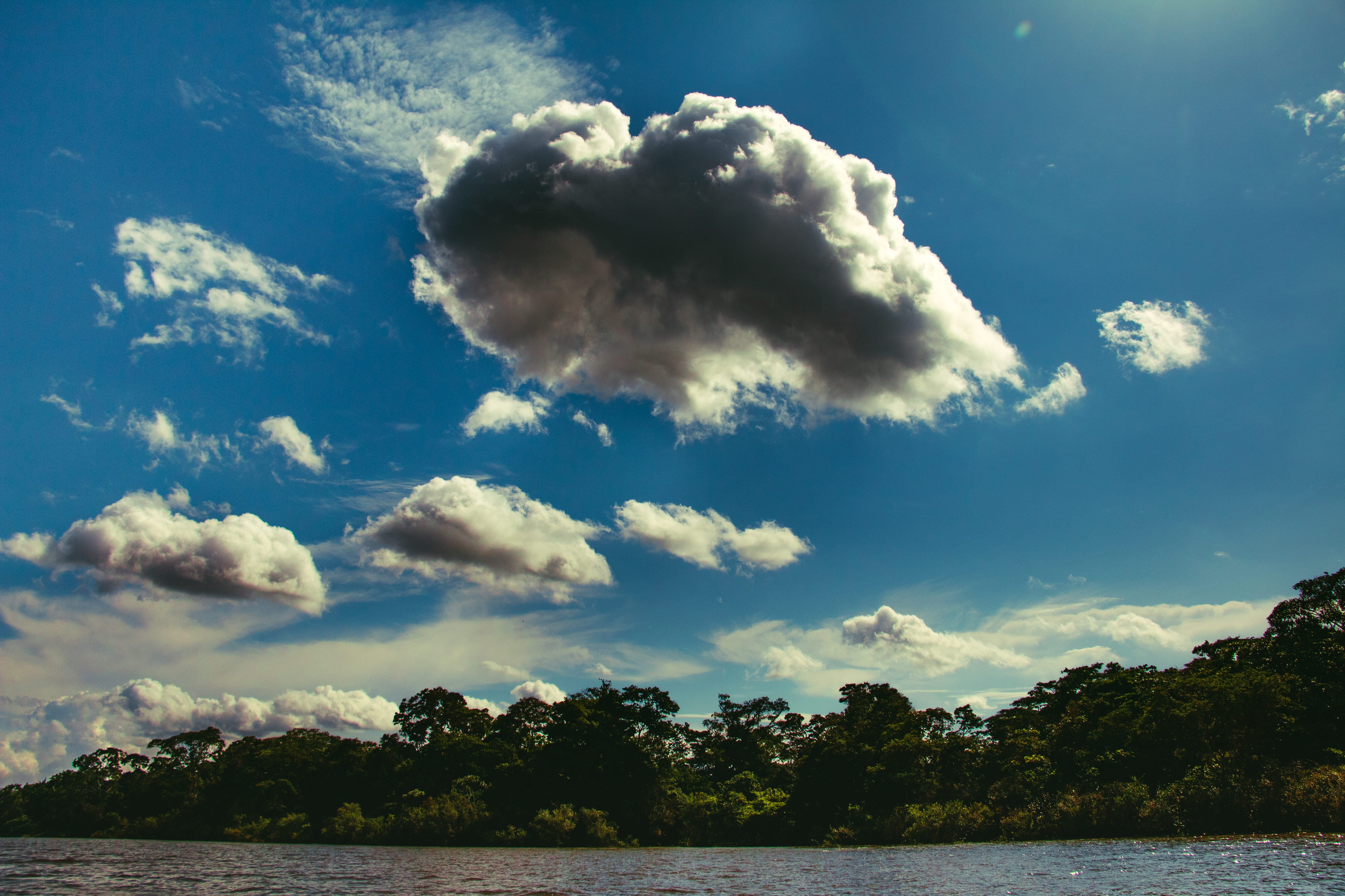 outdoors, plant, water, blue, wild, trees, clouds, sky, yarinacocha, sunlight, day, tranquility, nature, scenics - nature, no people, pucallpa, wildlife, HD Wallpaper