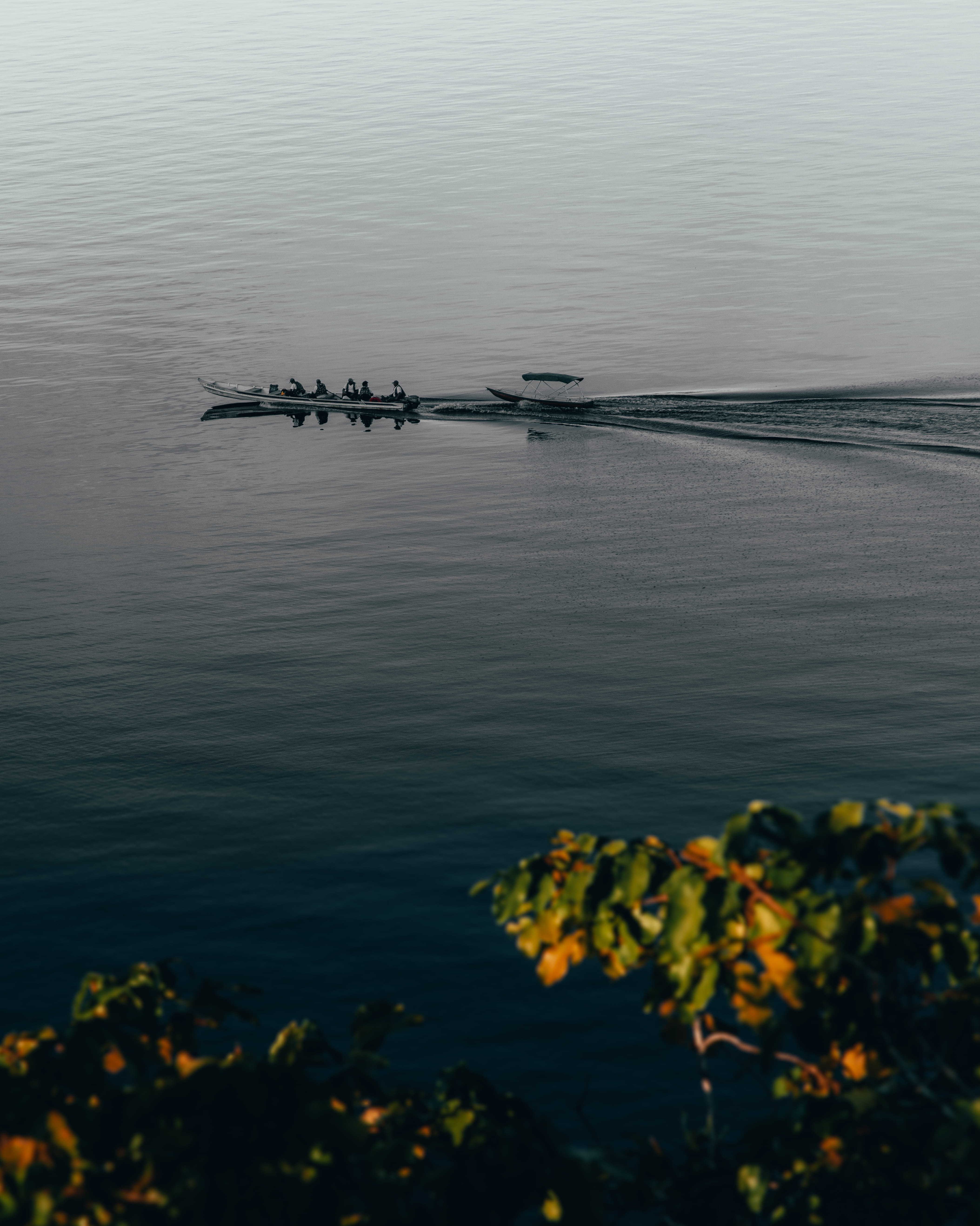 high angle view, tranquility, ocean, beauty in nature, no people, nature, nautical vessel, sky, people, plant, vehicle, waterfowl, forest, promontory, 5K, Phone HD Wallpaper
