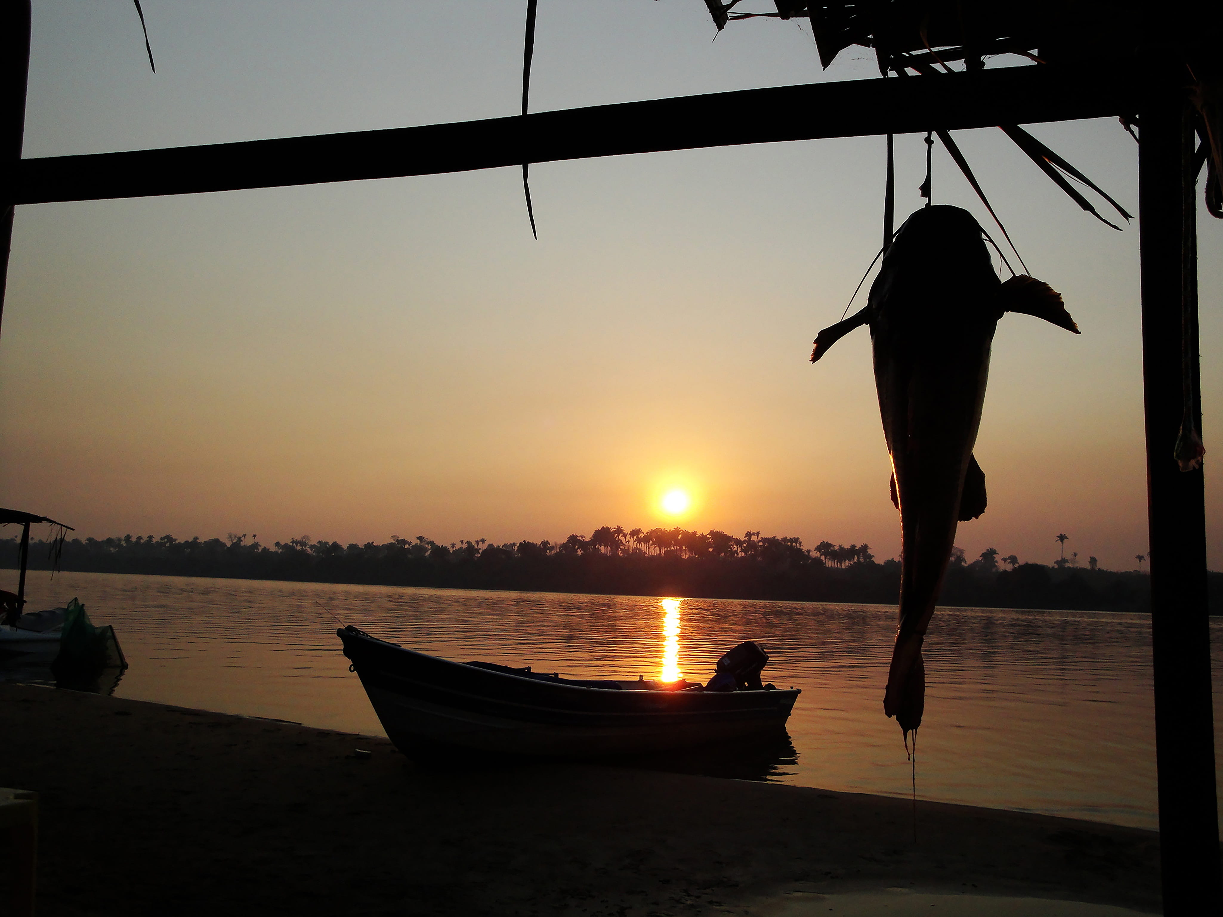 4K, mar, beauty in nature, fish, the araguaia river, Boat, tranquil scene, brazil, sunlight, peace, rio, Sol, human arm, transportation, tent, one person, HD Wallpaper