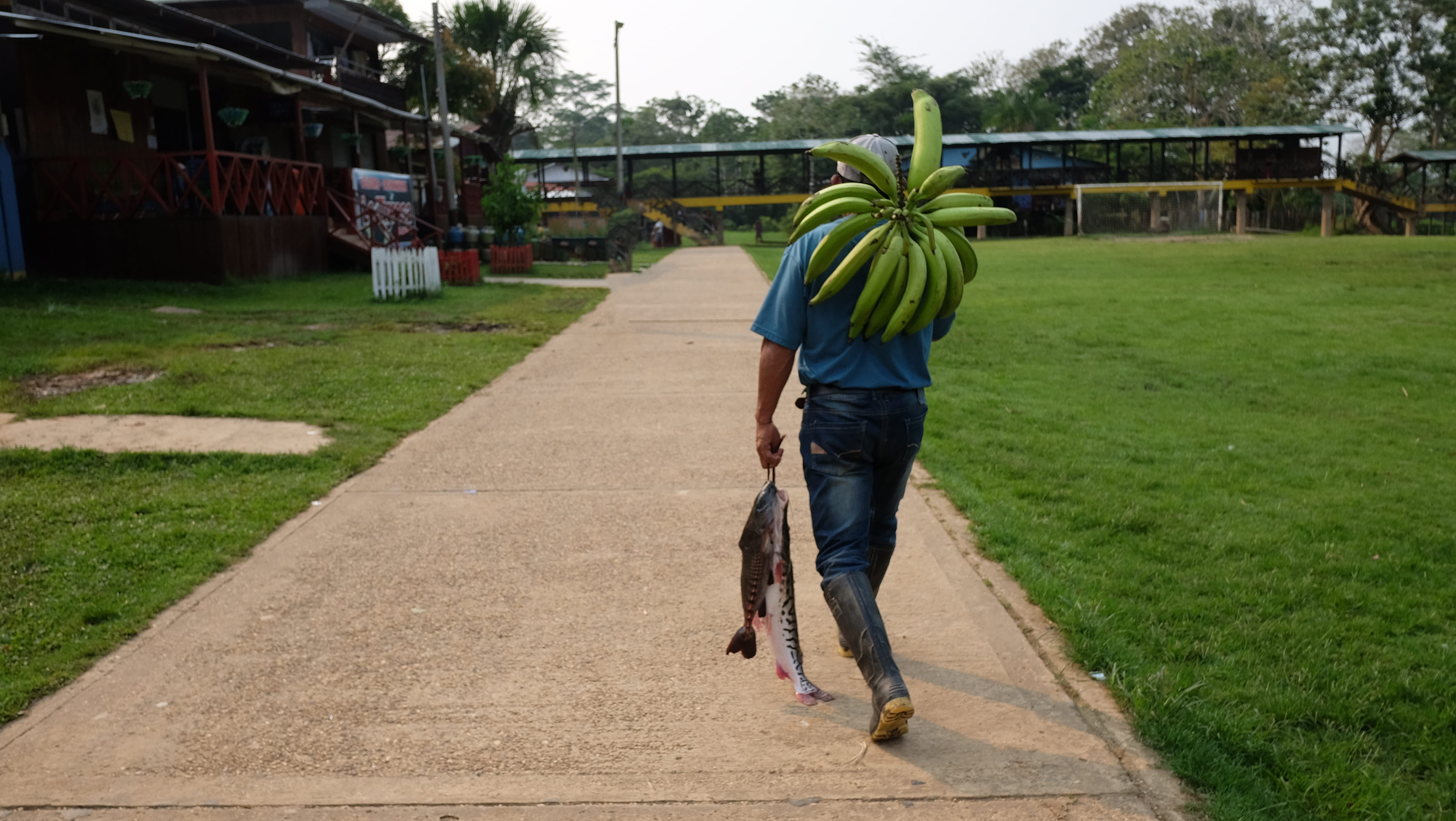 rain boots, farmer, small, plant, architecture, outdoors, men, building exterior, puerto nariño, travel, amazonas, holding, life, fisherman, grass, plantain, HD Wallpaper