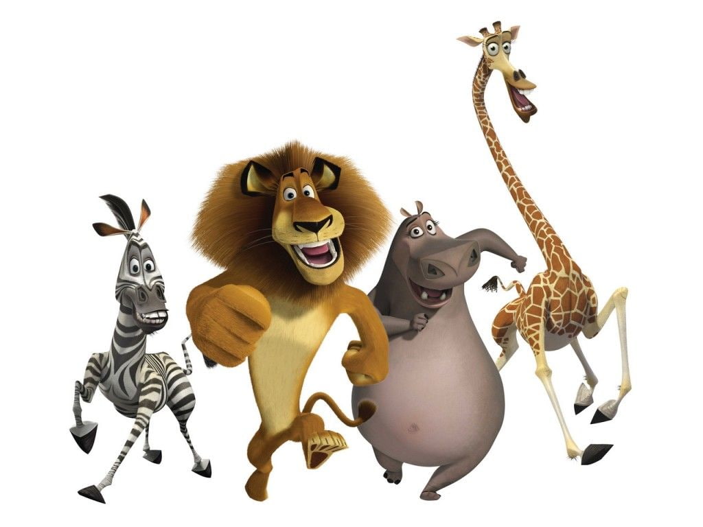 kid, cartoon, movie, madagascar, 480P, entertain, HD Wallpaper
