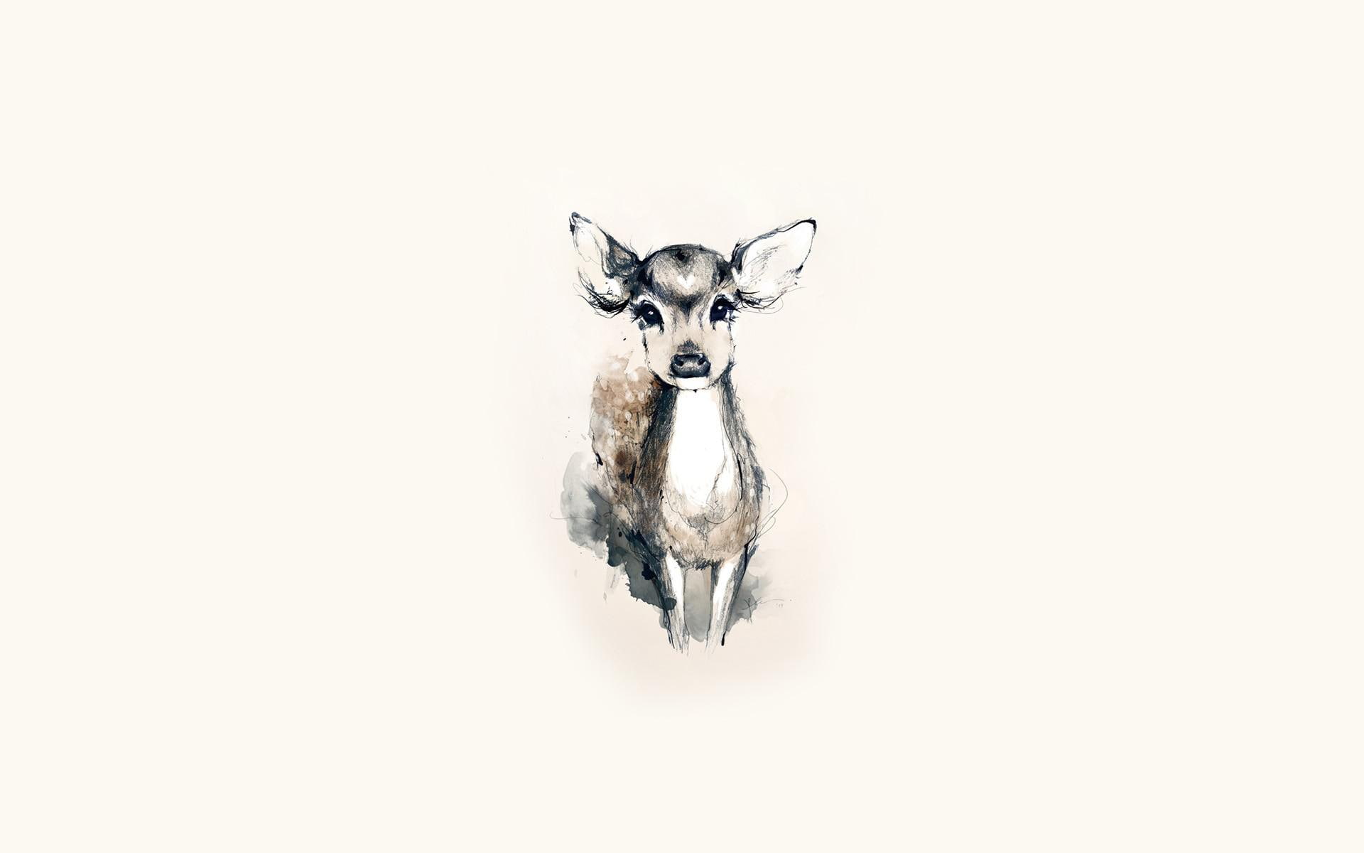 white, deer, fawn, drawing, black, sketch, baby animals, 1080P, pictures, background, HD Wallpaper