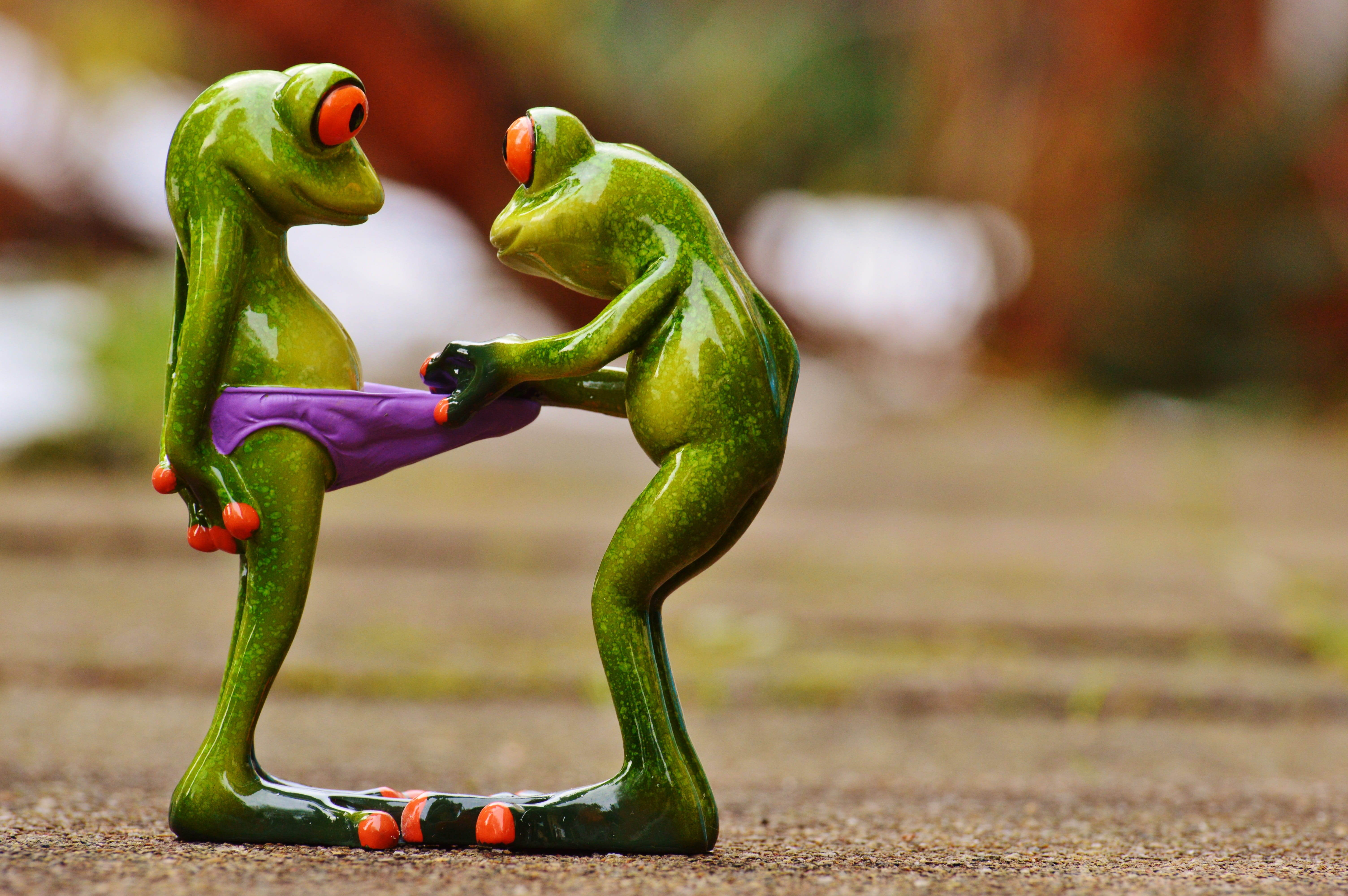 animal representation, no people, representation, curiosity, day, underpants, outdoors, creativity, funny, still life, fun, 5K, vertebrate, green color, HD Wallpaper
