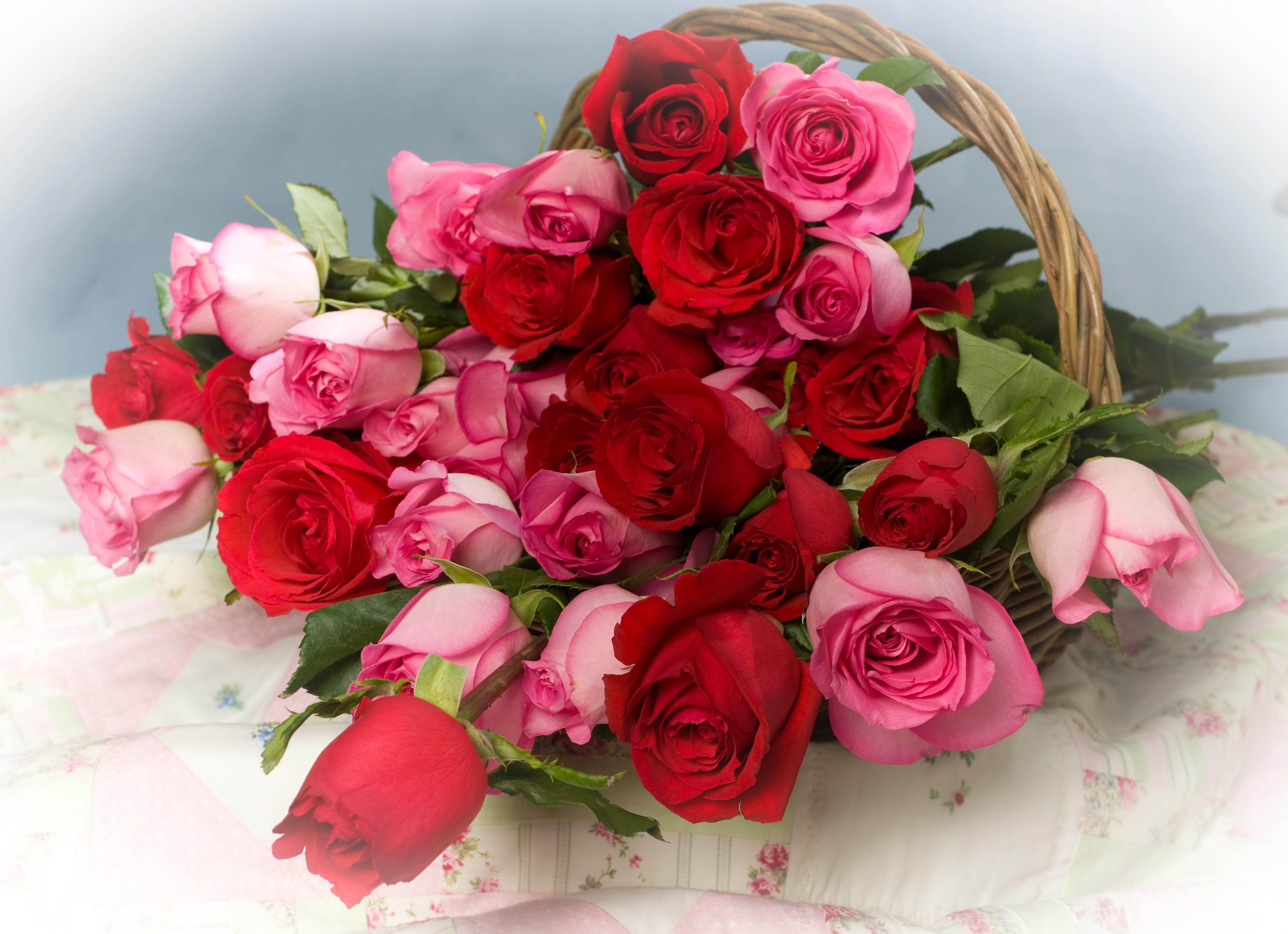 rose - Flower, basket, valentines Day - Holiday, fragility, day, 5K, flower, backgrounds, gift, birthday, table, flowering plant, celebration, rose, flower arrangement, HD Wallpaper