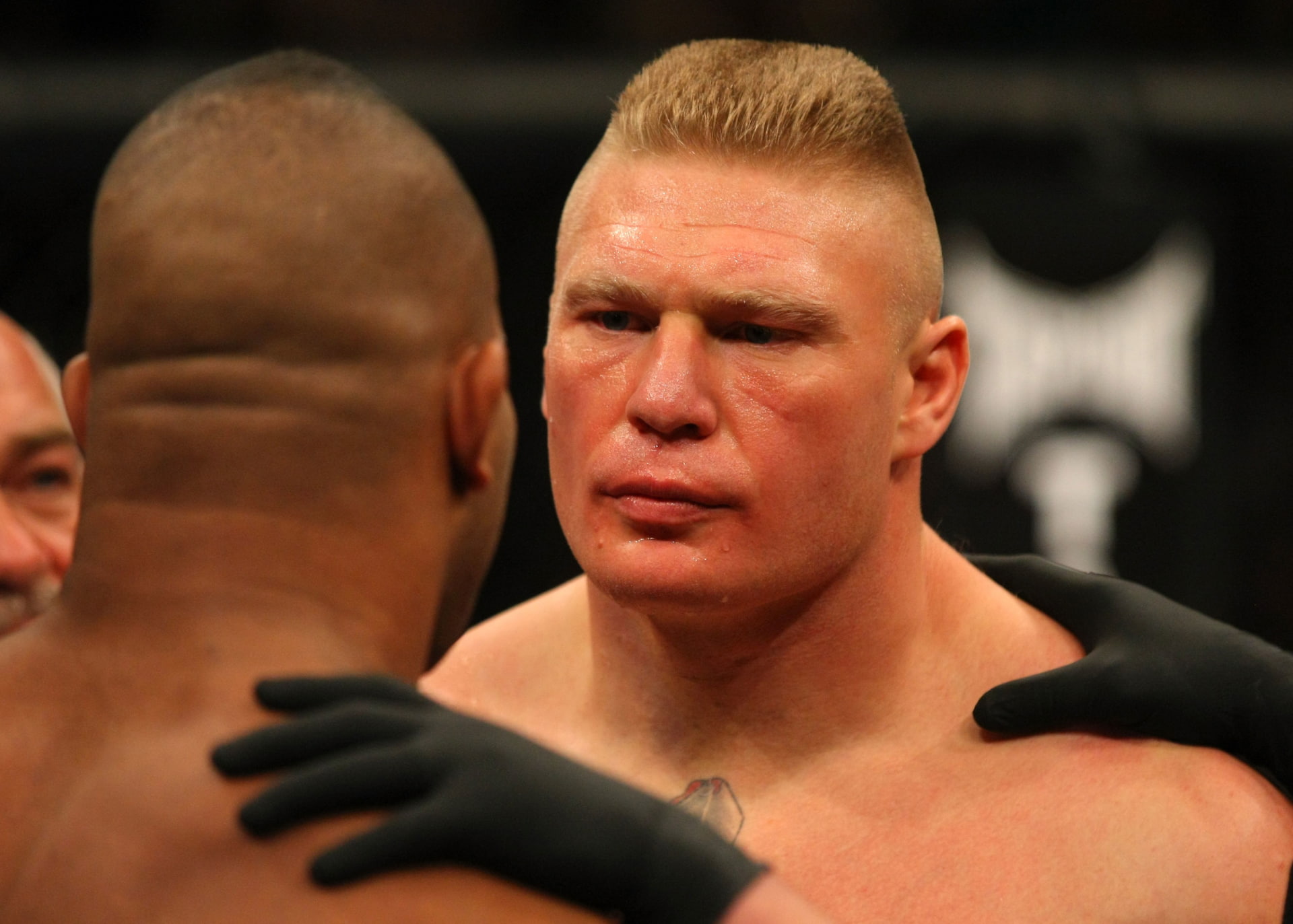 1080P, Mixed Martial Artist, Sports, Brock Lesnar, Mixed Martial Arts, HD Wallpaper